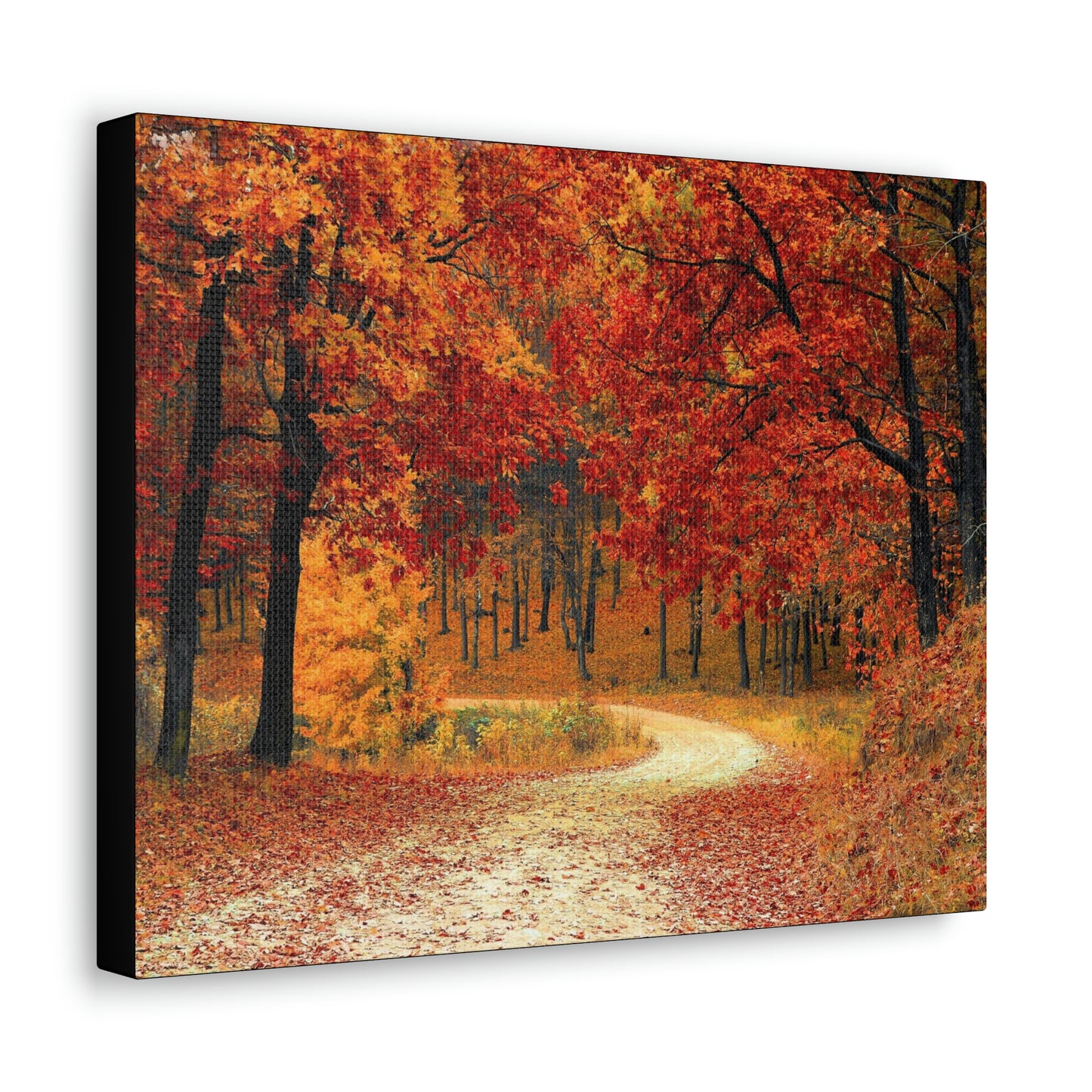 Fall Trail - Foliage forest - Canvas Gallery Wraps