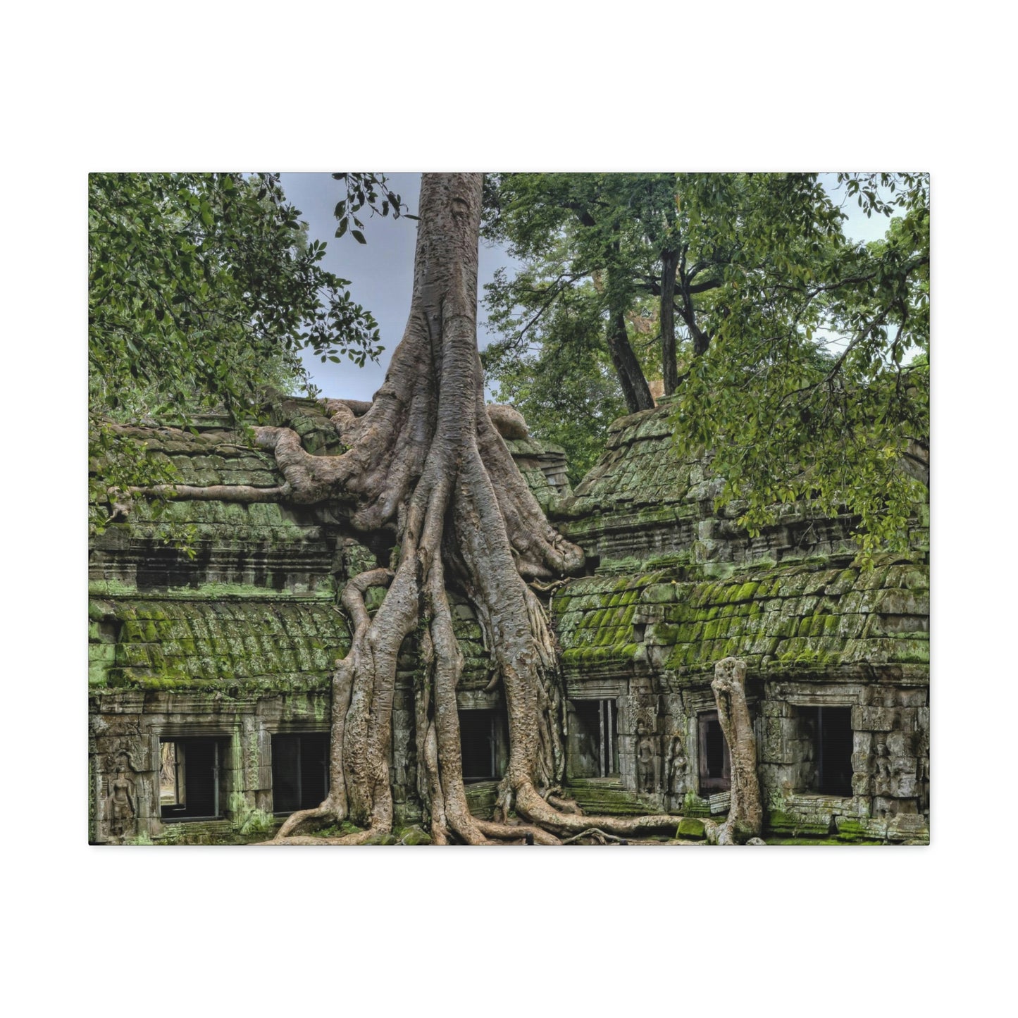Jungle Temple - nature, trees Canvas Gallery Wraps