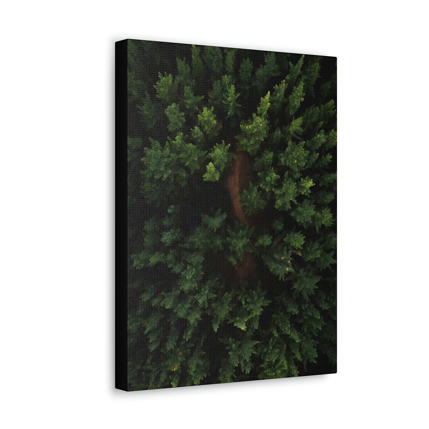 Forest eagle-view - Canvas Gallery Wraps