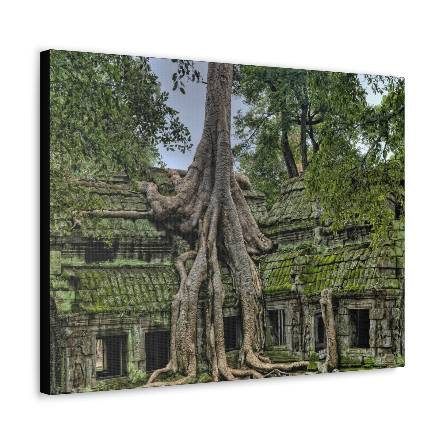 Jungle Temple - nature, trees Canvas Gallery Wraps