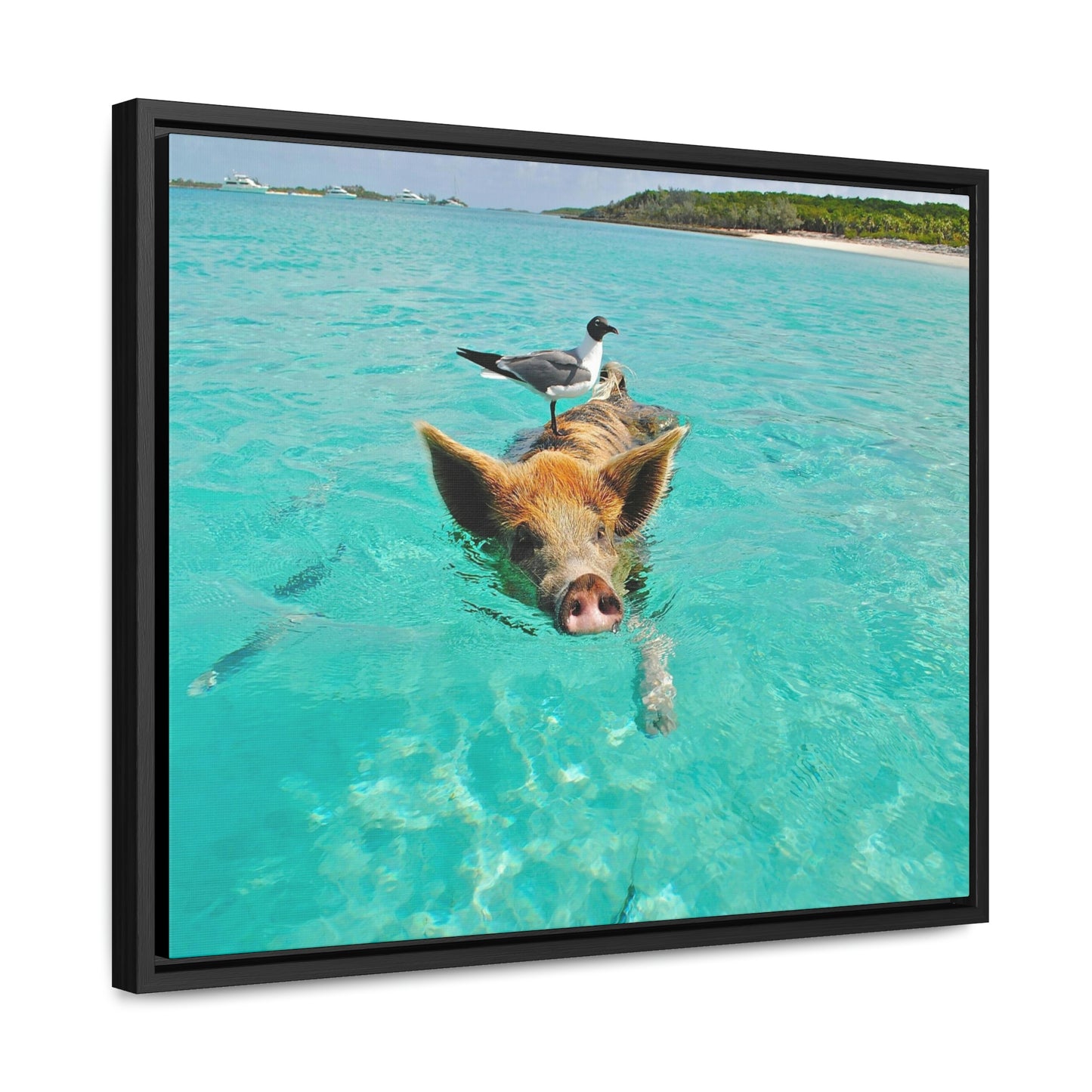 Ocean hog - Gallery Canvas Wraps, Horizontal Frame