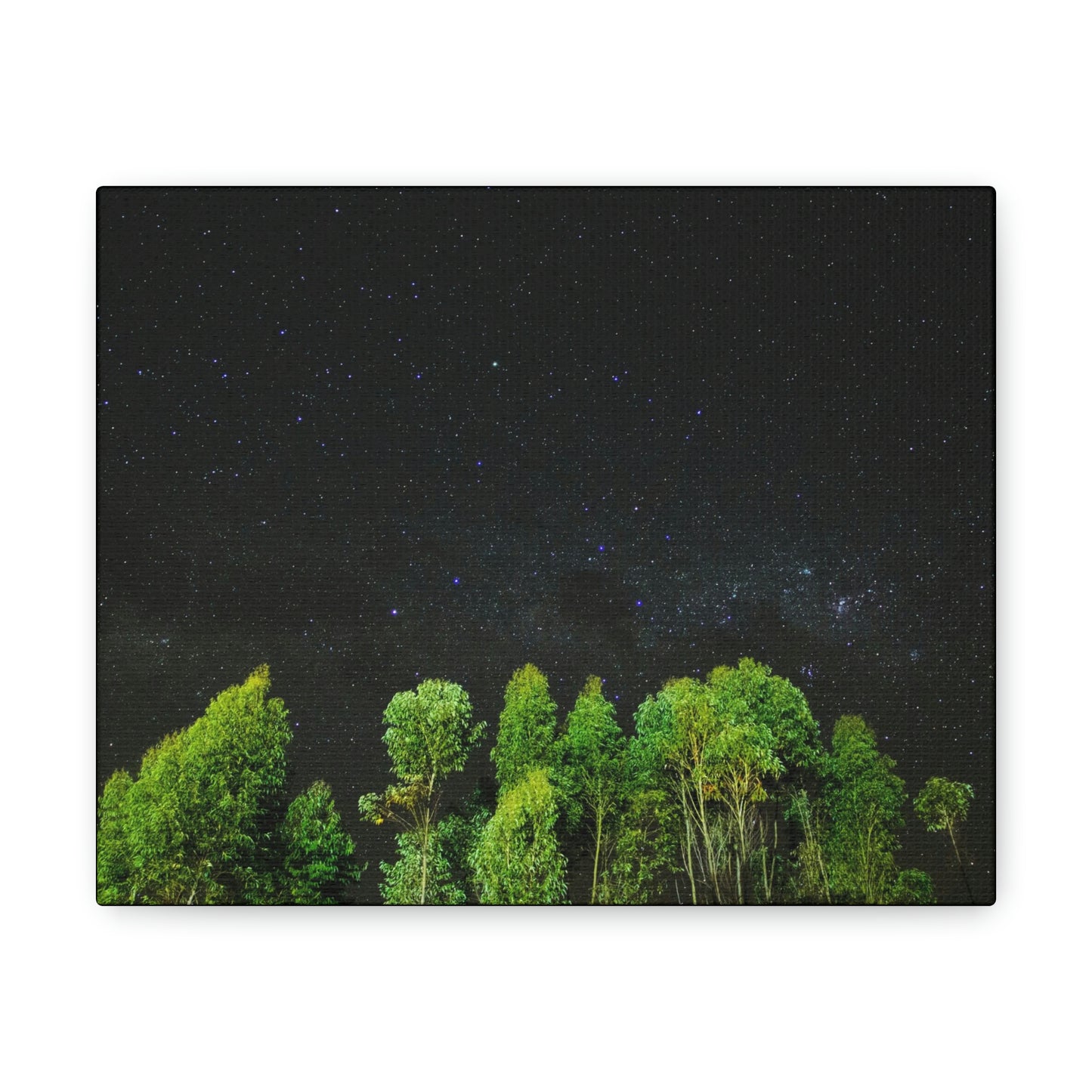 Starry Forest - Star, Forest, Nature - Canvas Gallery Wraps
