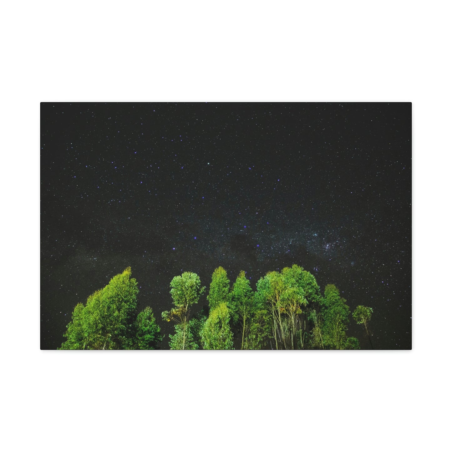 Starry Forest - Star, Forest, Nature - Canvas Gallery Wraps