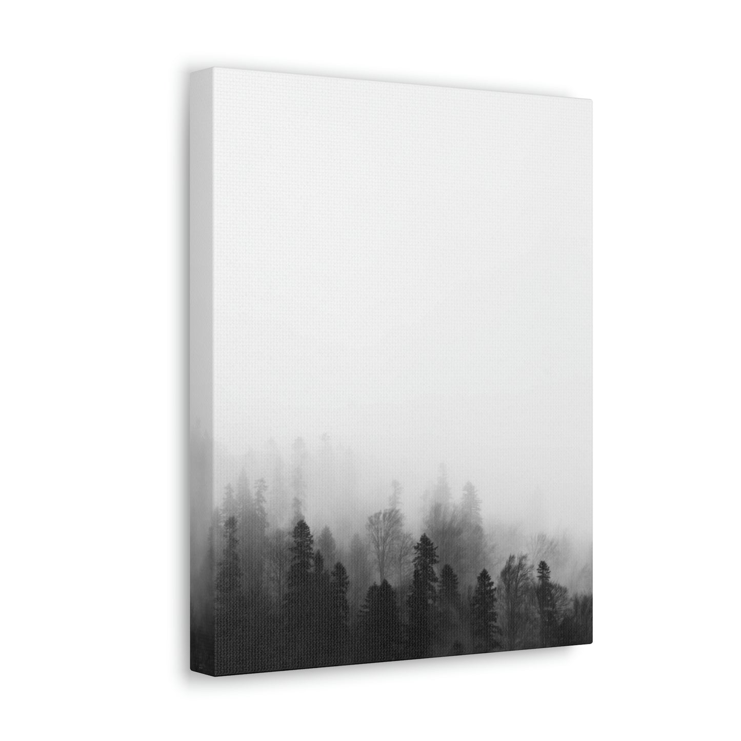 B&W Forest - Canvas Gallery Wraps