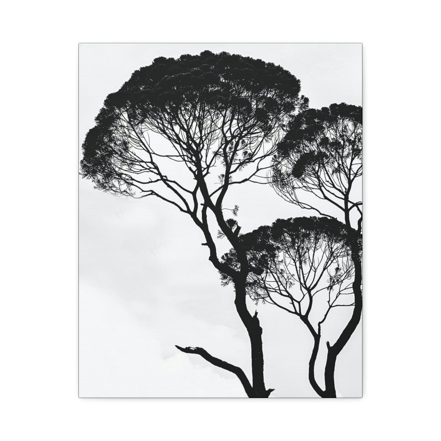 Black and White Trees, Trees, Savannah, Safari - Polyester Canvas
