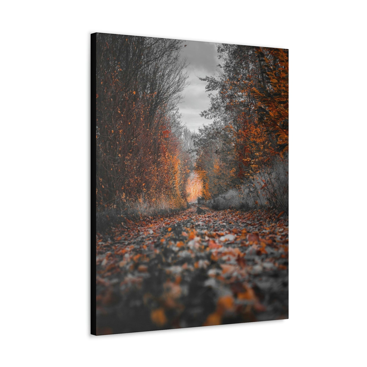 Fall road - Foliage, Nature, Forest, Leaves - Canvas Gallery Wraps