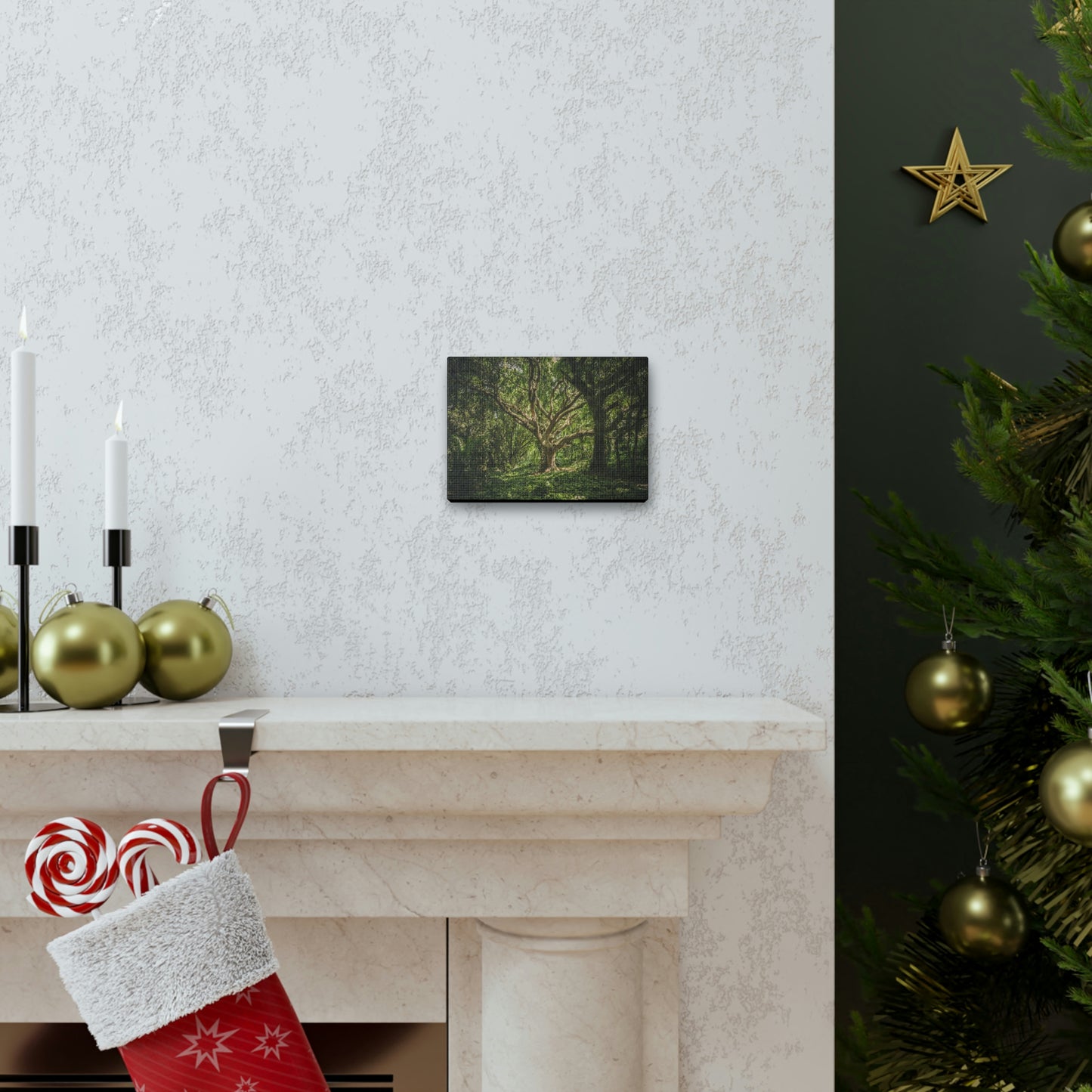 Forest - Tree Canvas Gallery Wraps