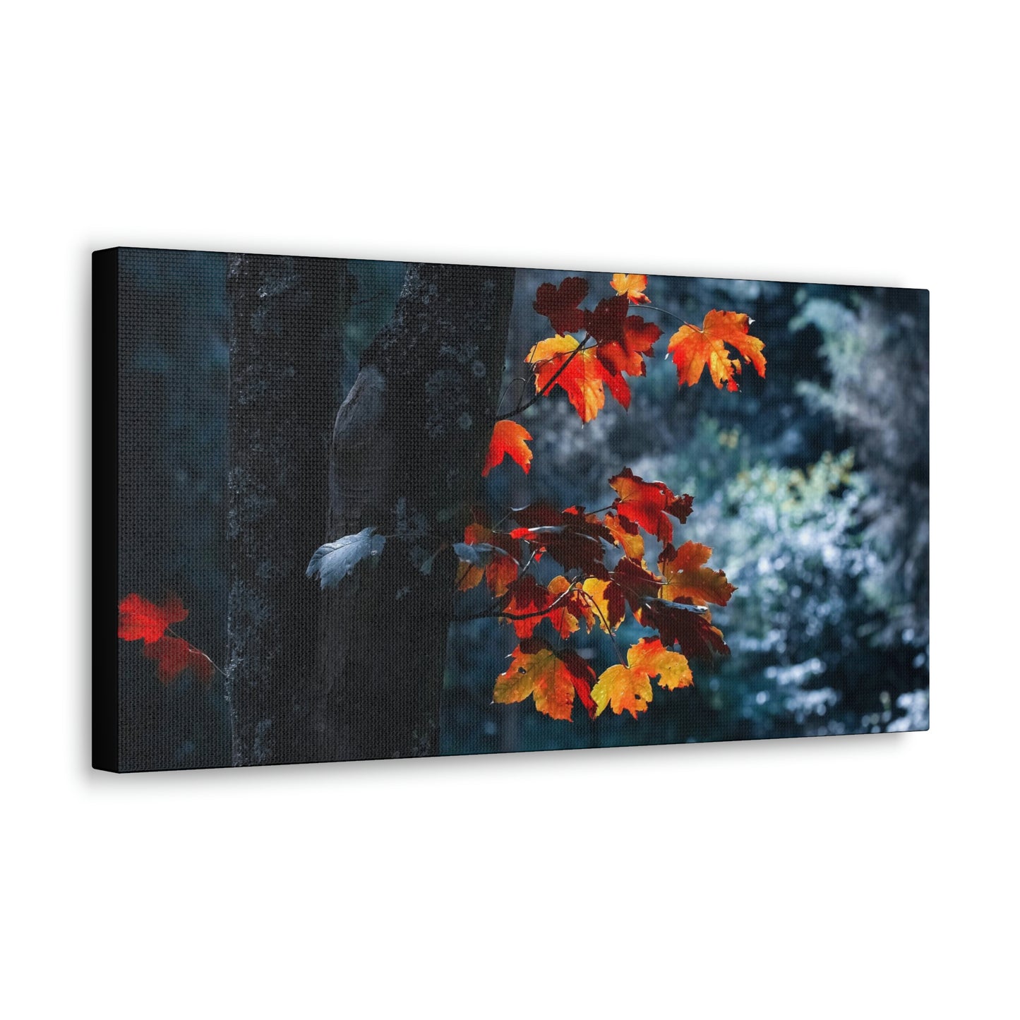The last Leaves, Fall, Foliage, Nature, Forest - Canvas Gallery Wraps