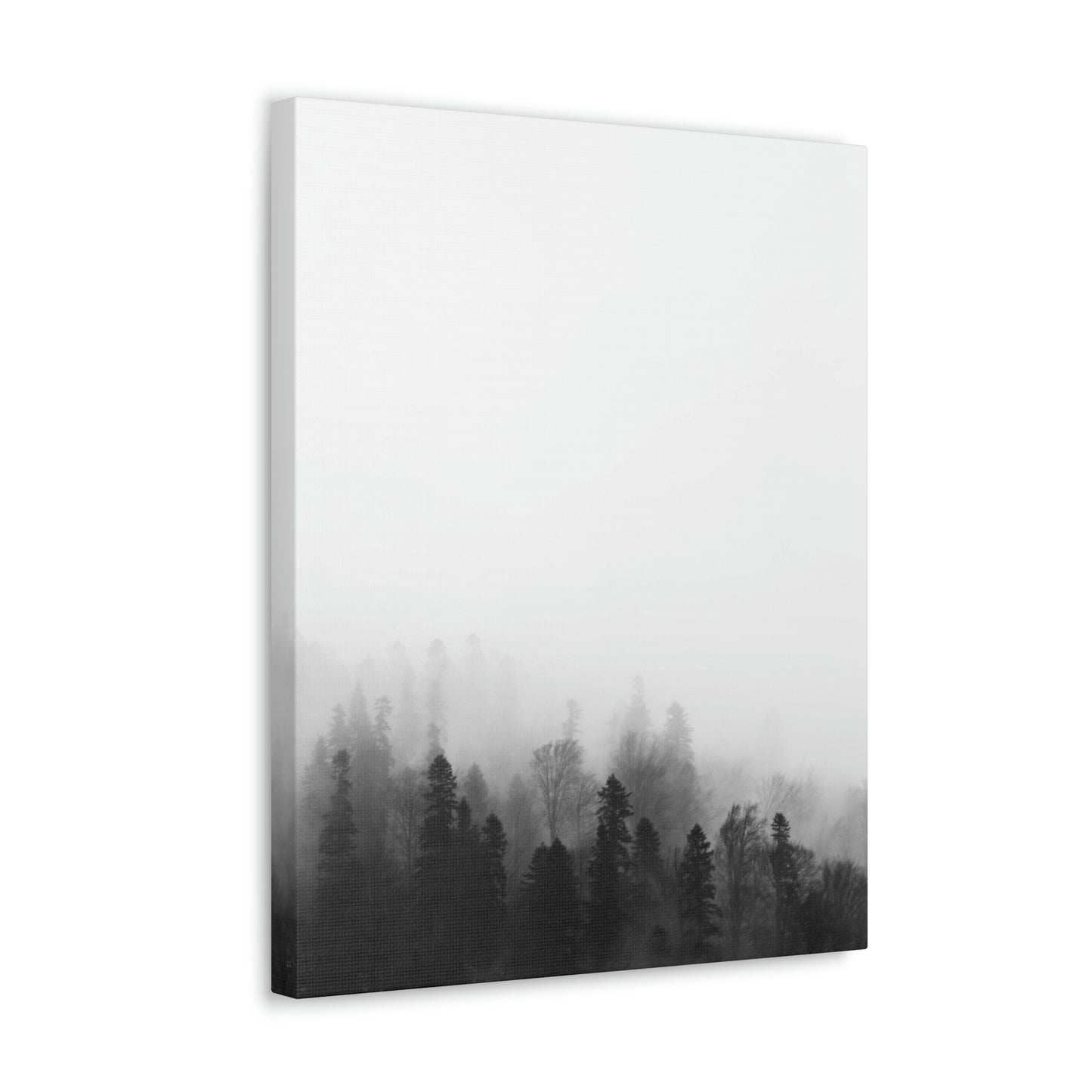 B&W Forest - Canvas Gallery Wraps