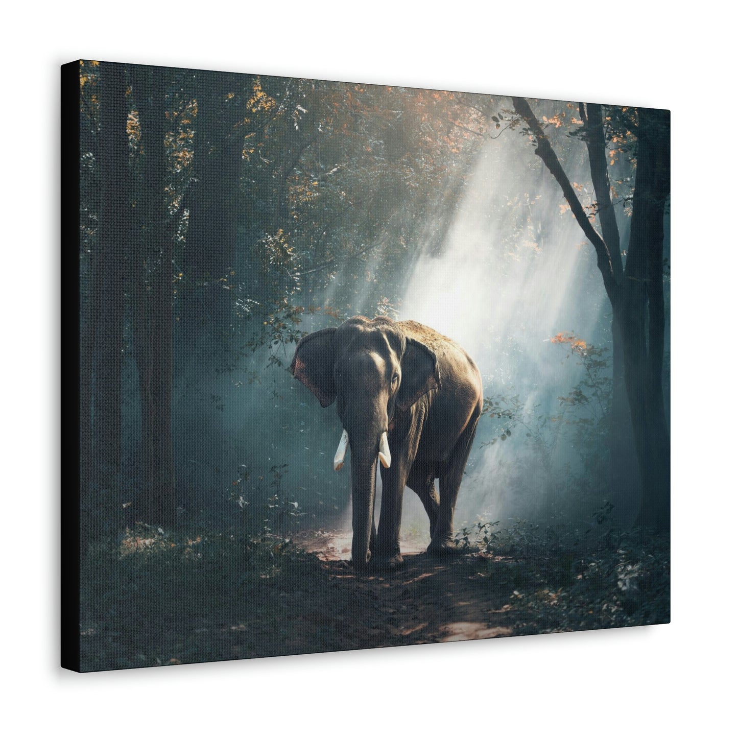 Elephant - Nature, Jungle Canvas Gallery Wraps