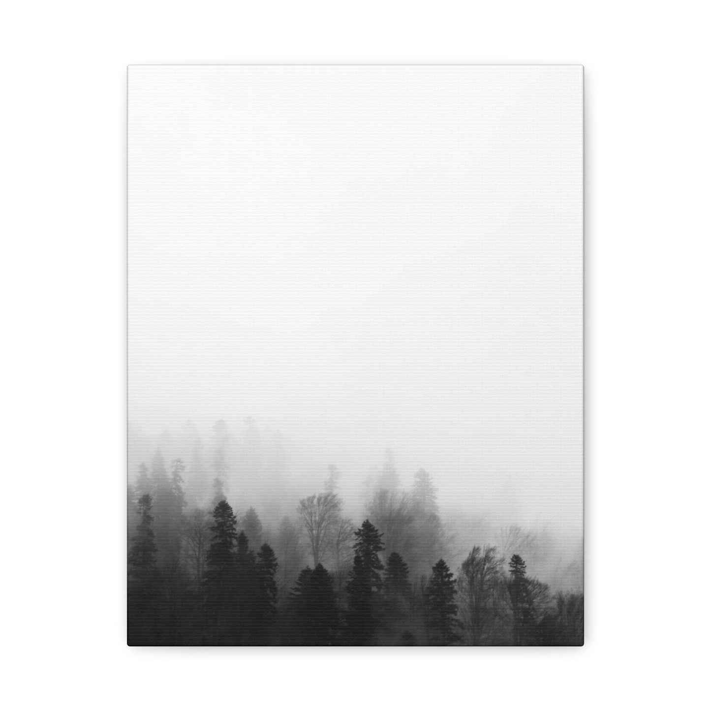 B&W Forest - Canvas Gallery Wraps