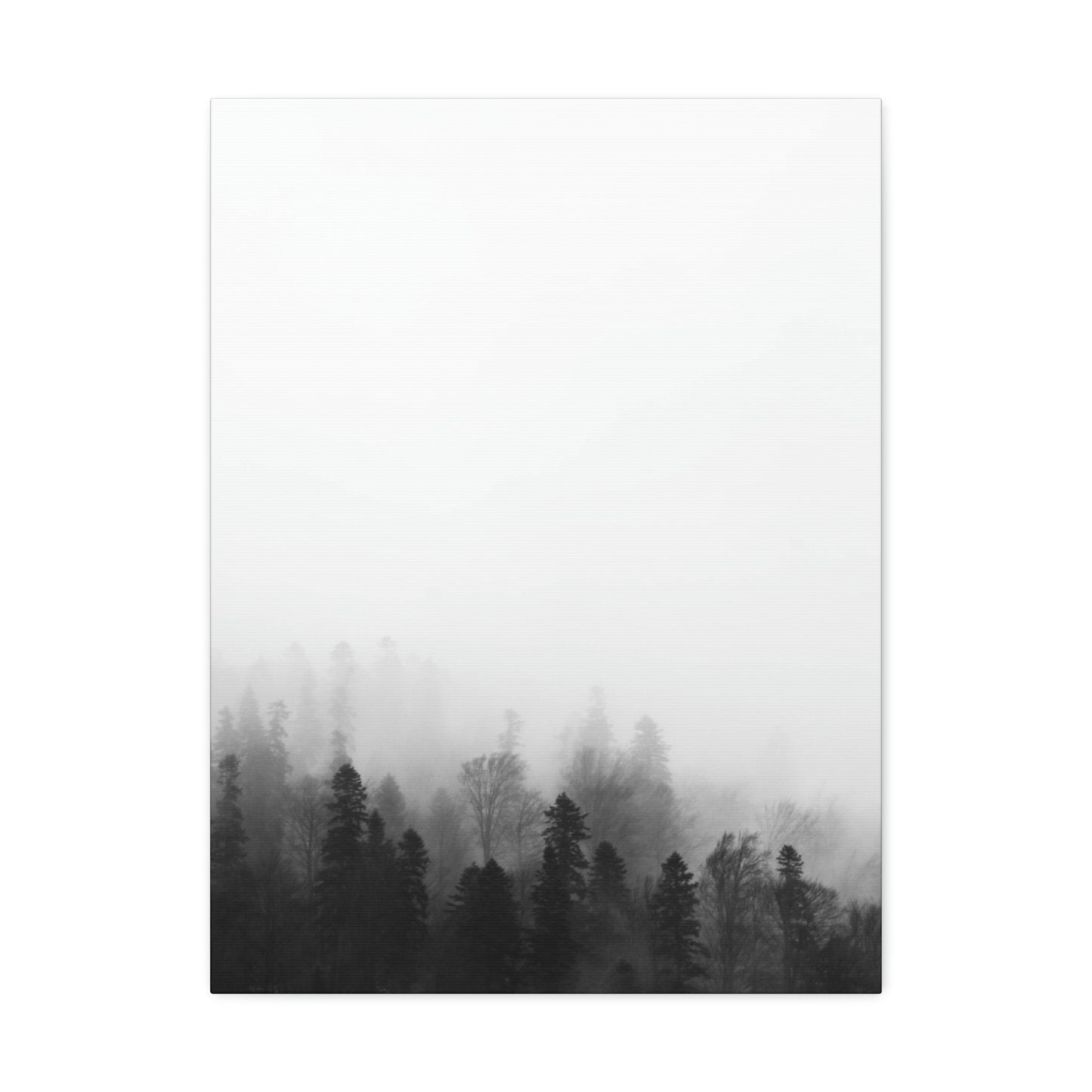 Forest, Black & White, Tree line, Nature, Fog, B and W Tree line Polyester Canvas