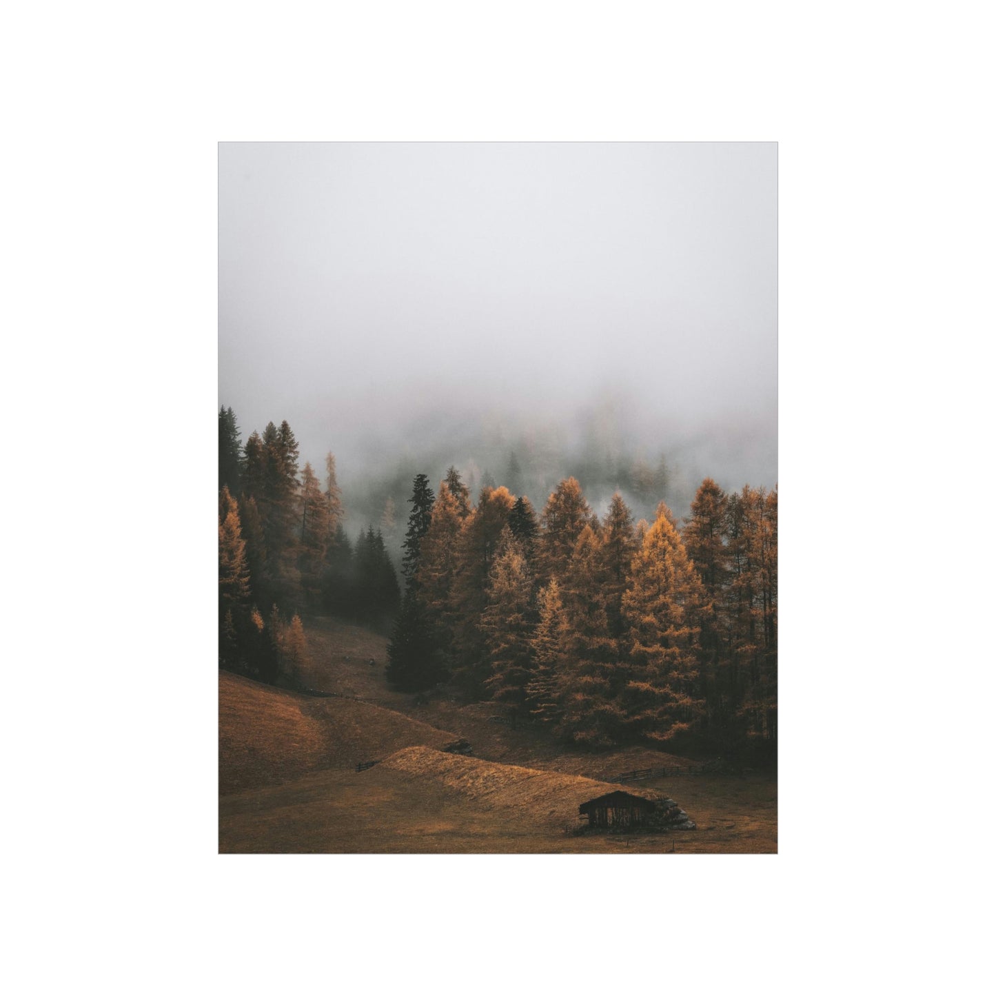 Smokey Mountains, Forest, Fog - Premium Matte Vertical Posters