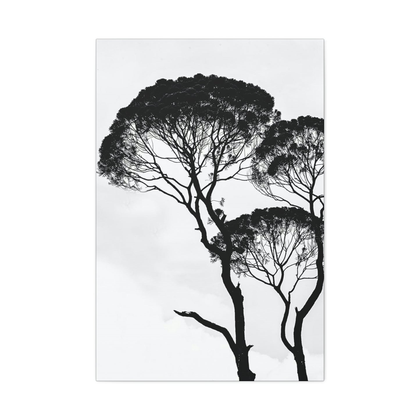 Black and White Trees, Trees, Savannah, Safari - Polyester Canvas