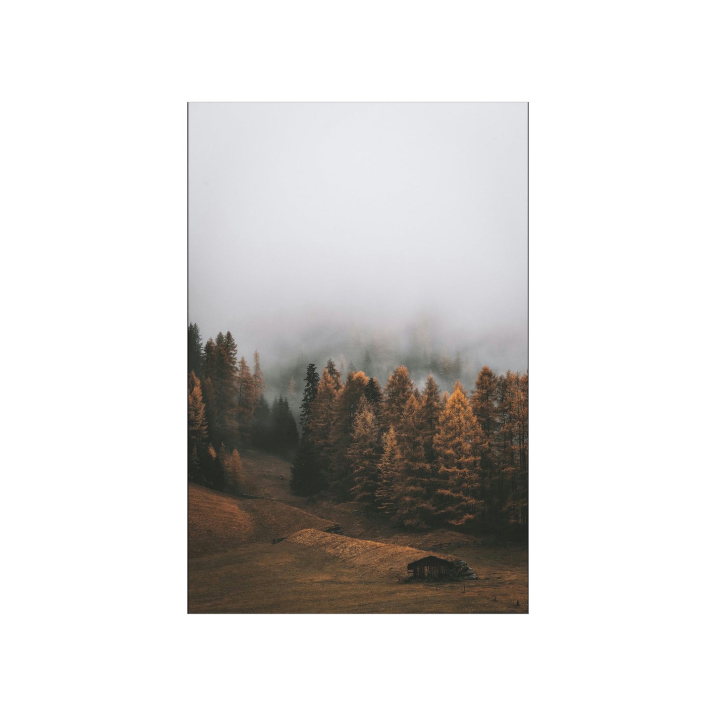 Smokey Mountains, Forest, Fog - Premium Matte Vertical Posters