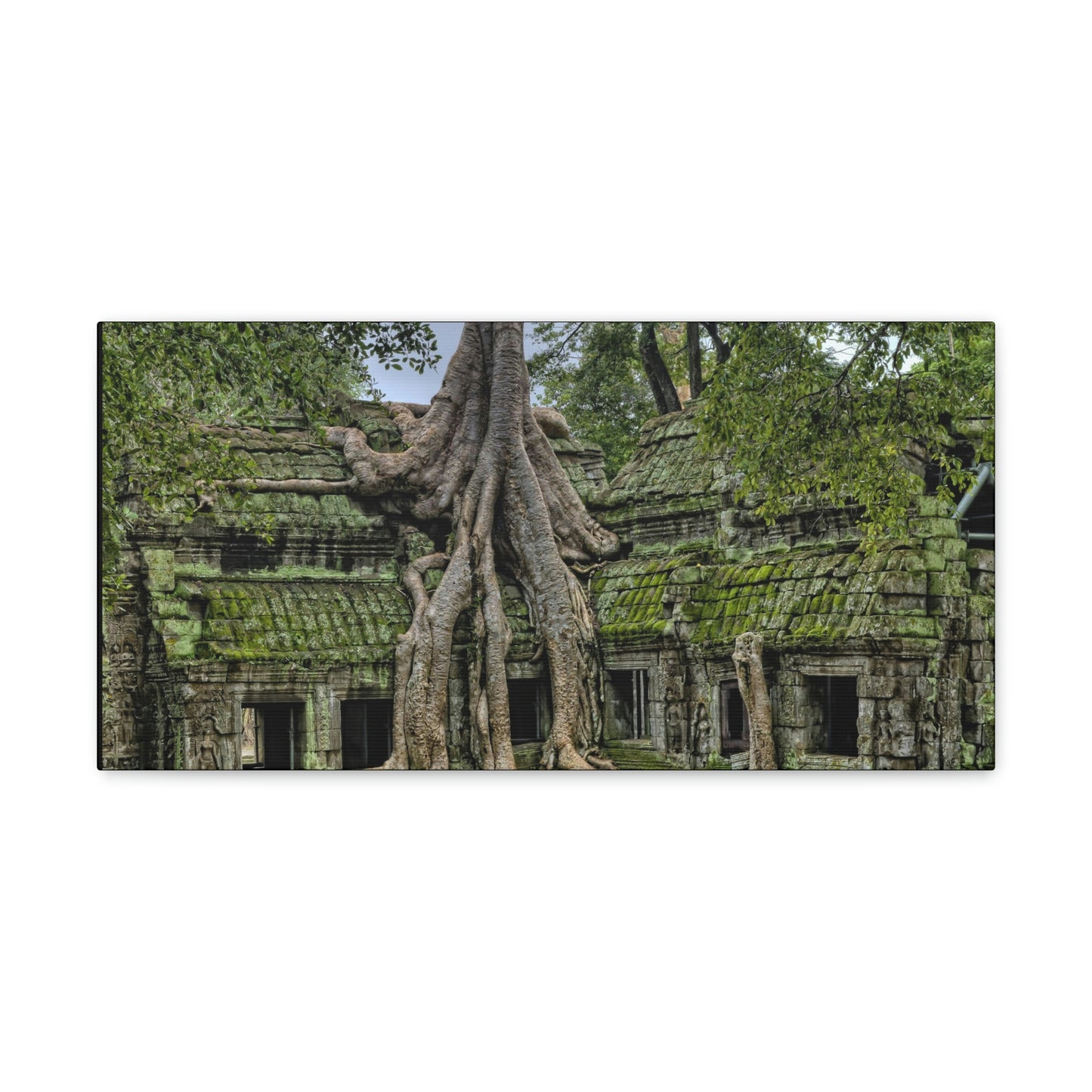 Jungle Temple - nature, trees Canvas Gallery Wraps