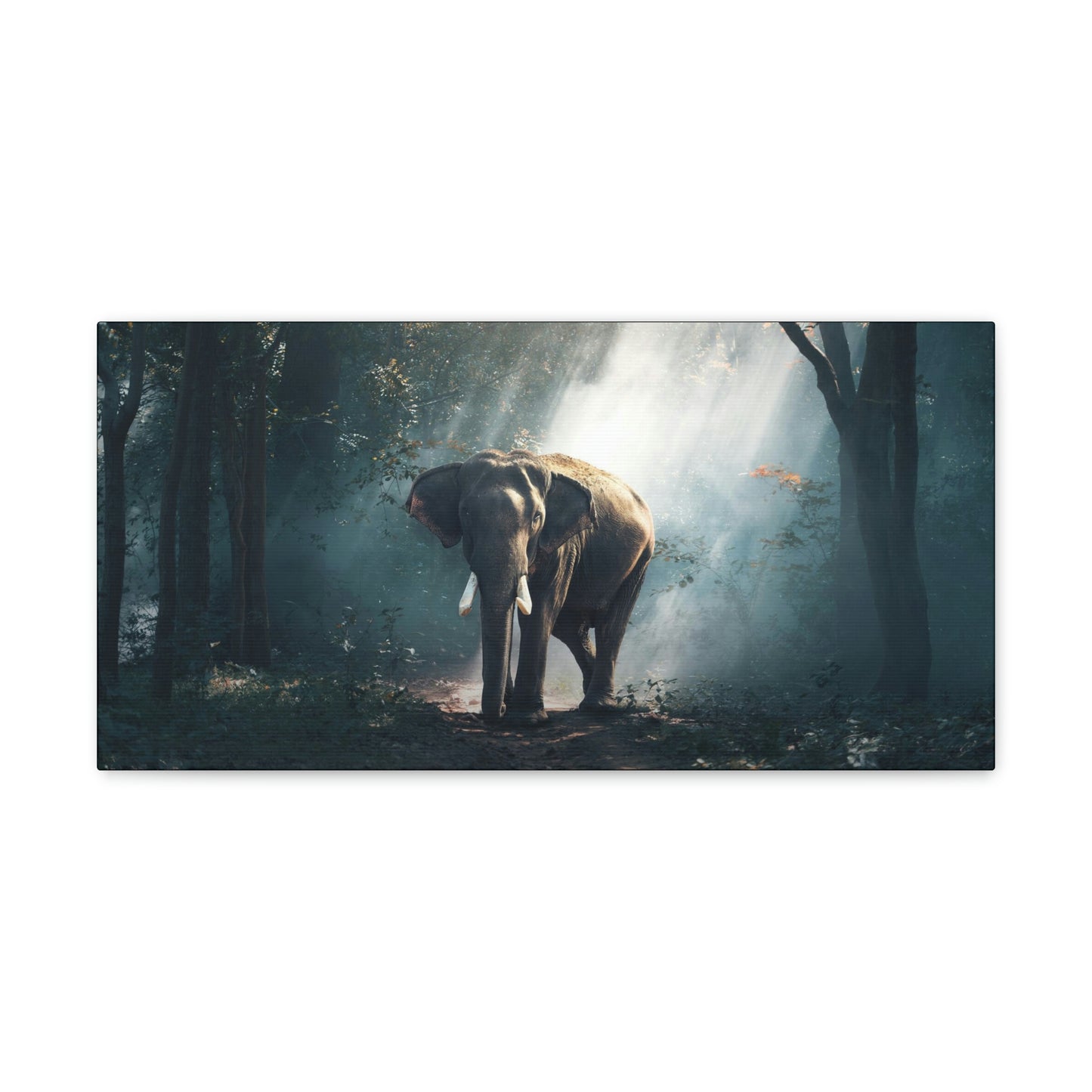 Elephant - Nature, Jungle Canvas Gallery Wraps