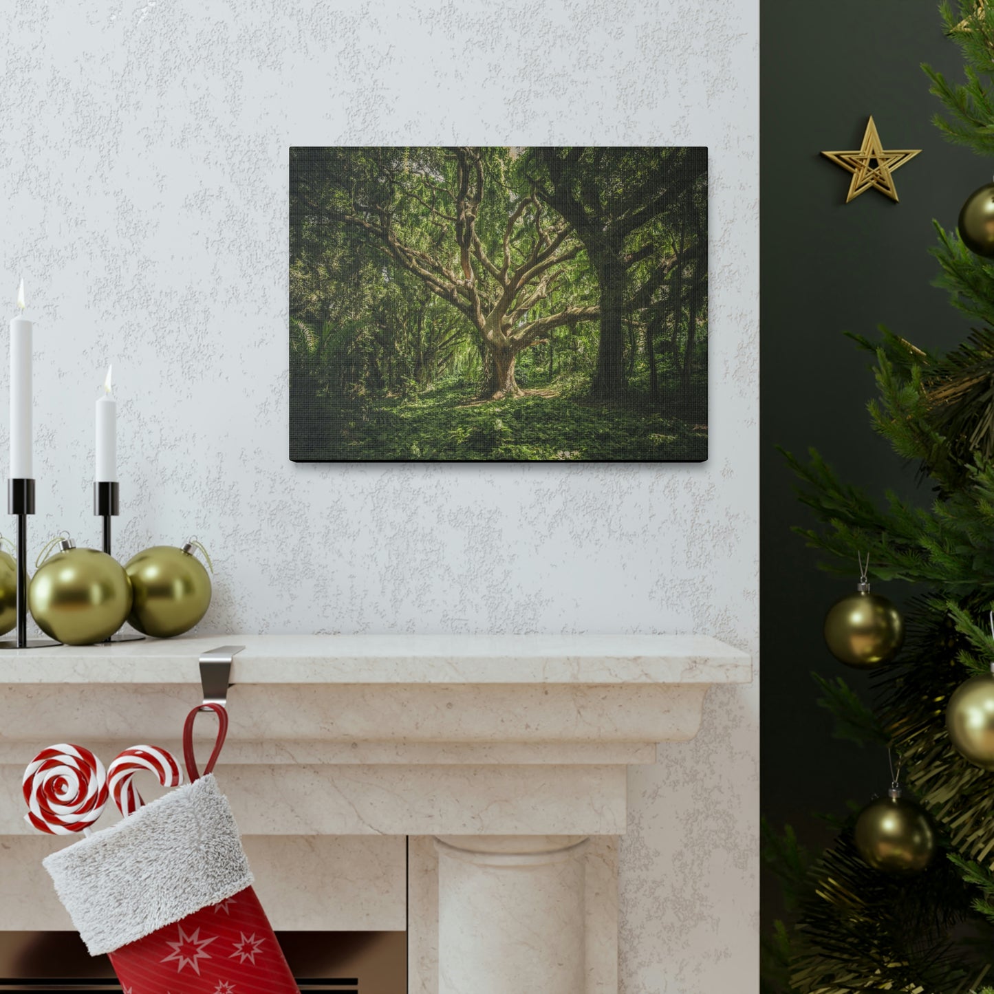 Forest - Tree Canvas Gallery Wraps