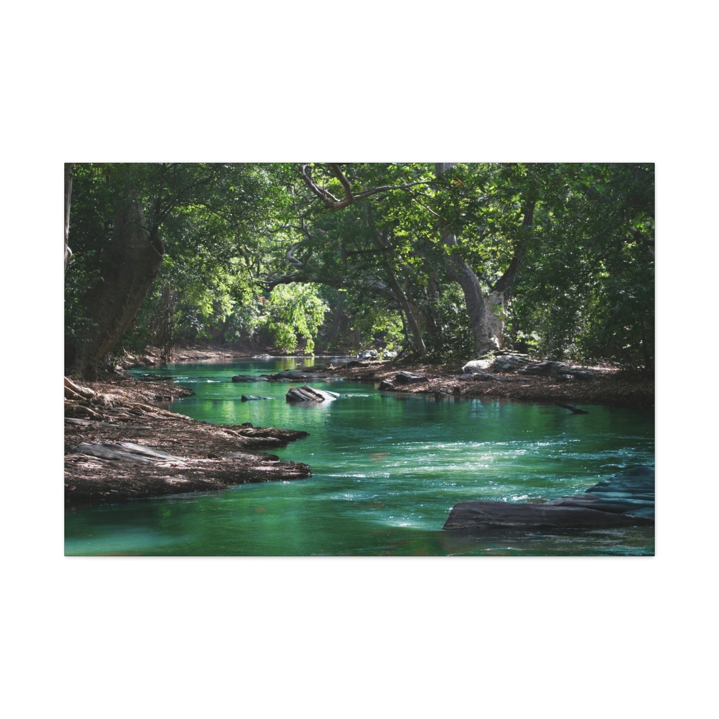 Scenic River - Forest - Canvas Gallery Wraps