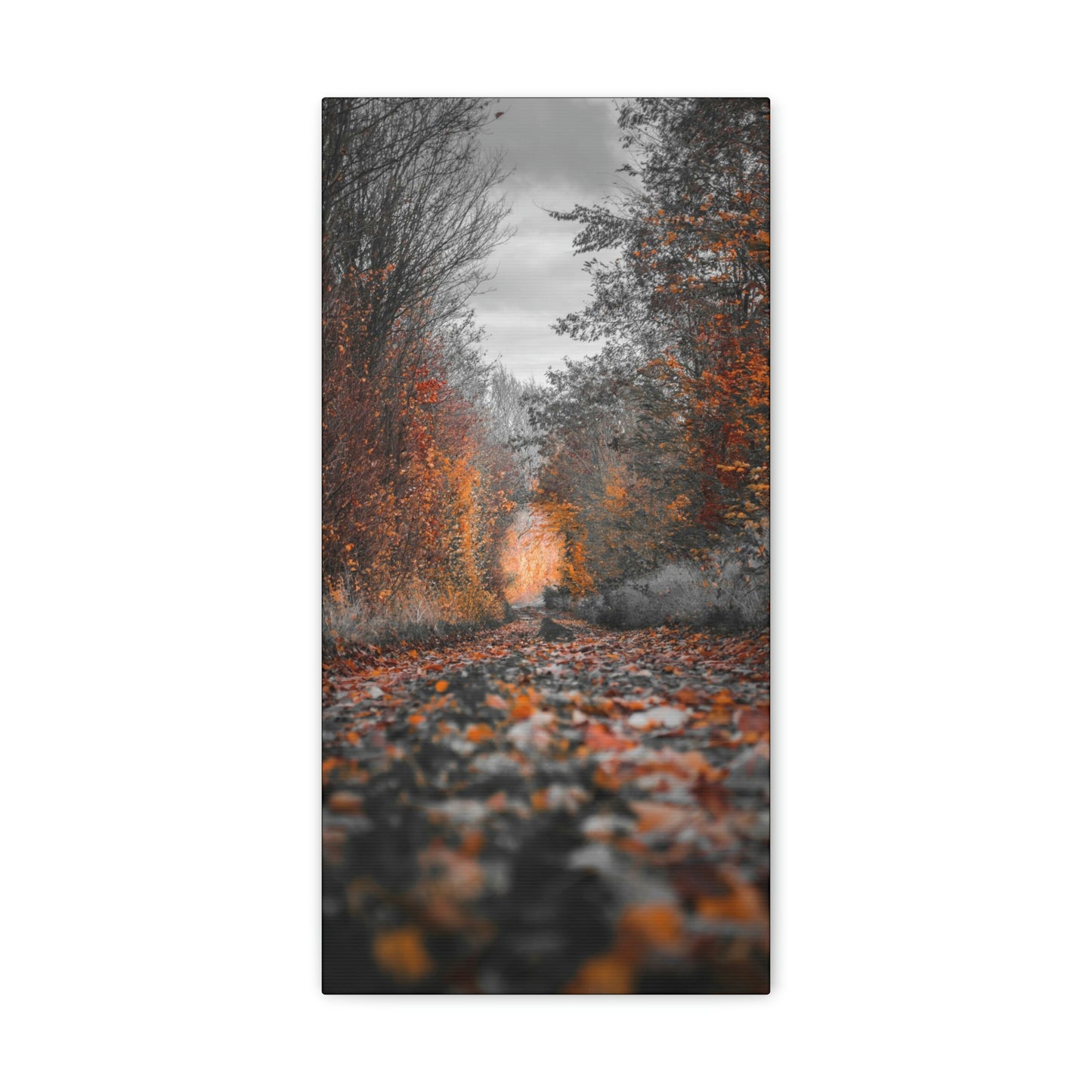Fall road - Foliage, Nature, Forest, Leaves - Canvas Gallery Wraps