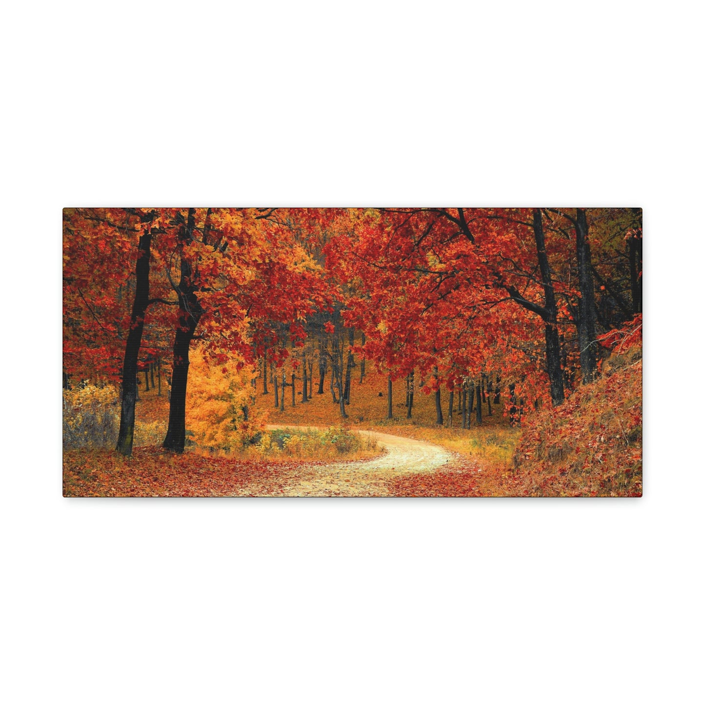 Fall Trail - Foliage forest - Canvas Gallery Wraps