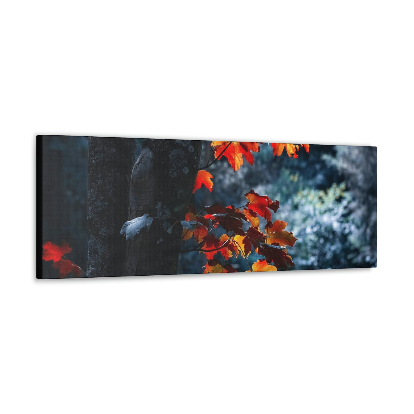 The last Leaves, Fall, Foliage, Nature, Forest - Canvas Gallery Wraps
