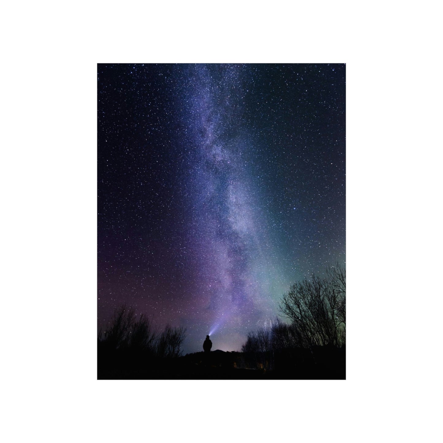 Stars Gazer - Premium Matte Vertical Posters