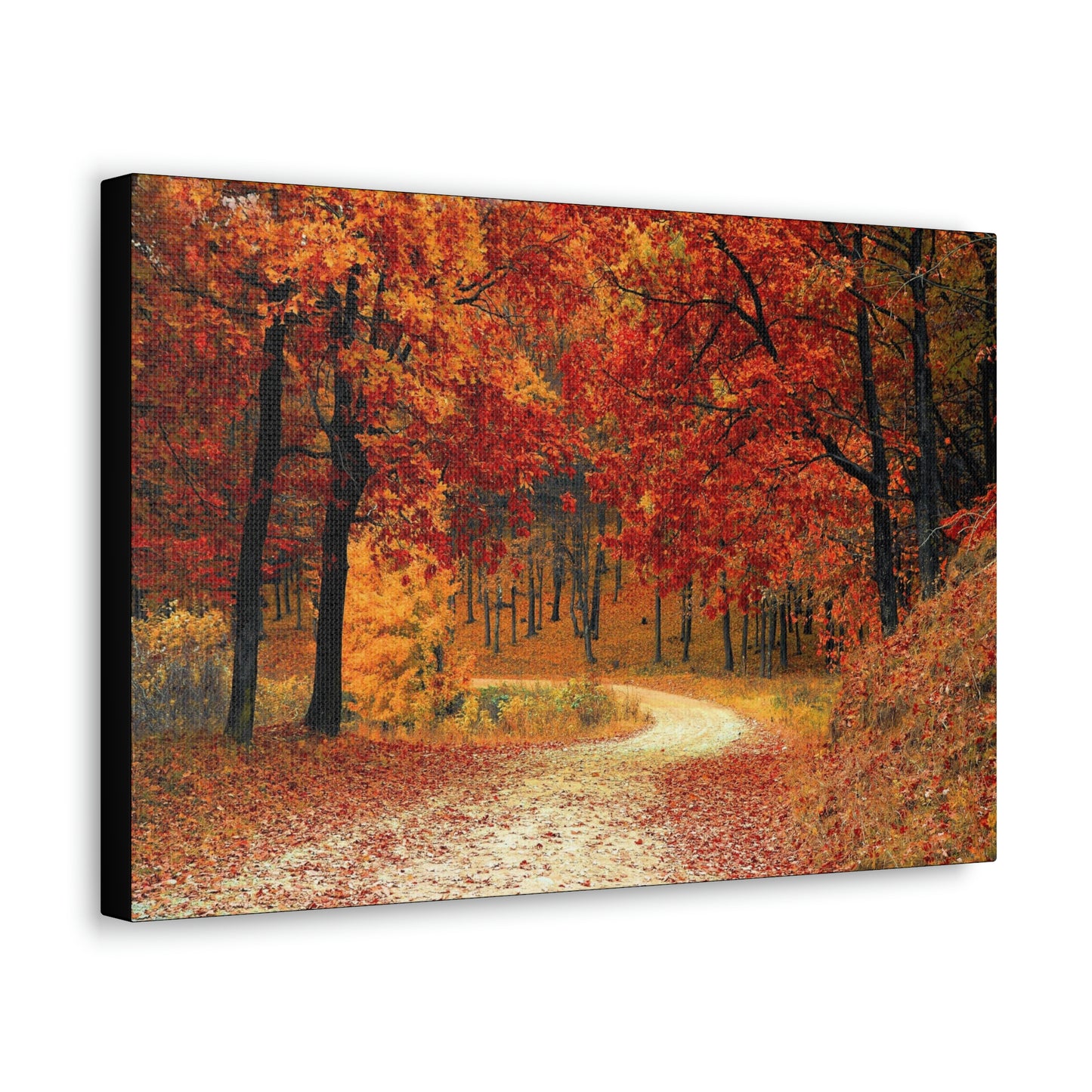 Fall Trail - Foliage forest - Canvas Gallery Wraps