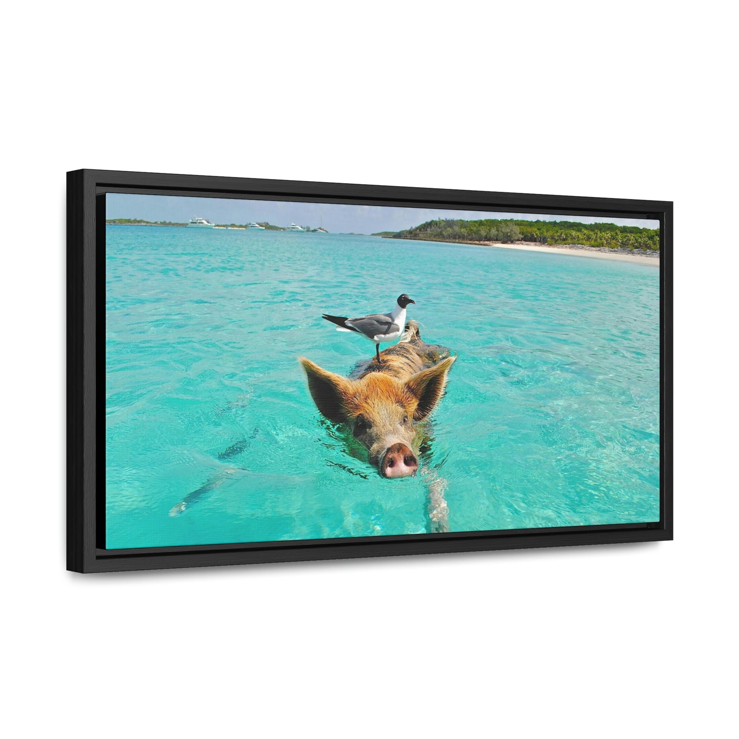 Ocean hog - Gallery Canvas Wraps, Horizontal Frame