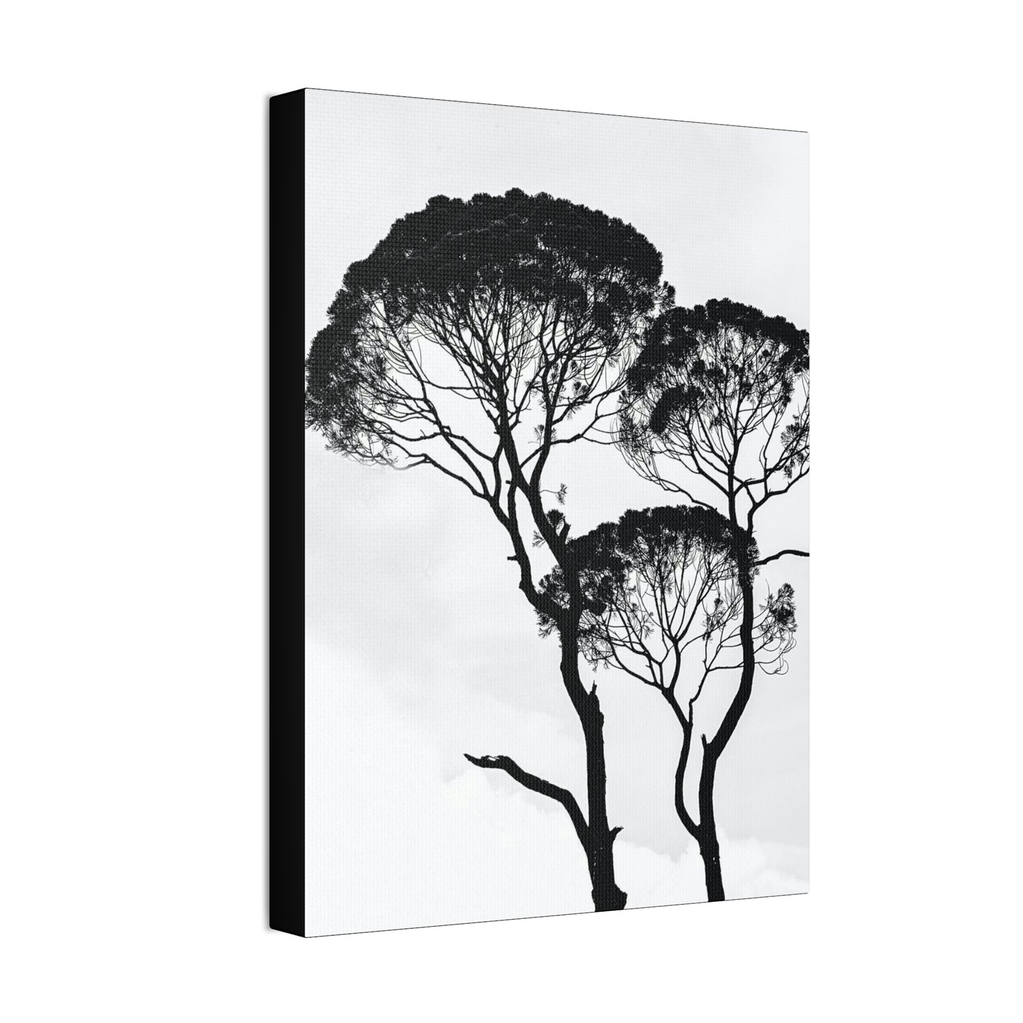 Black and White Trees, Trees, Savannah, Safari - Polyester Canvas