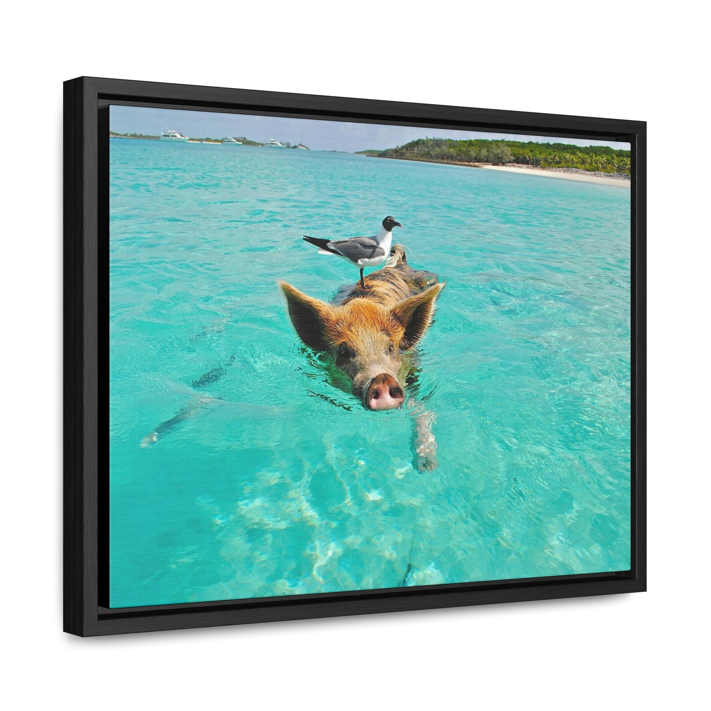 Ocean hog - Gallery Canvas Wraps, Horizontal Frame
