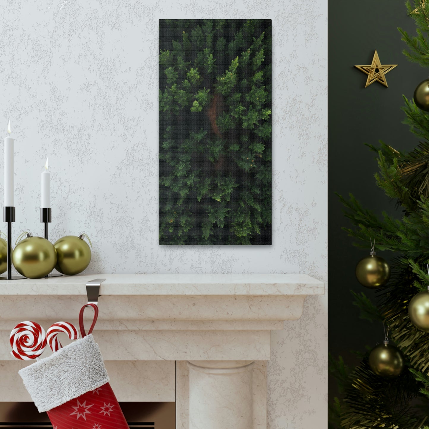 Forest eagle-view - Canvas Gallery Wraps