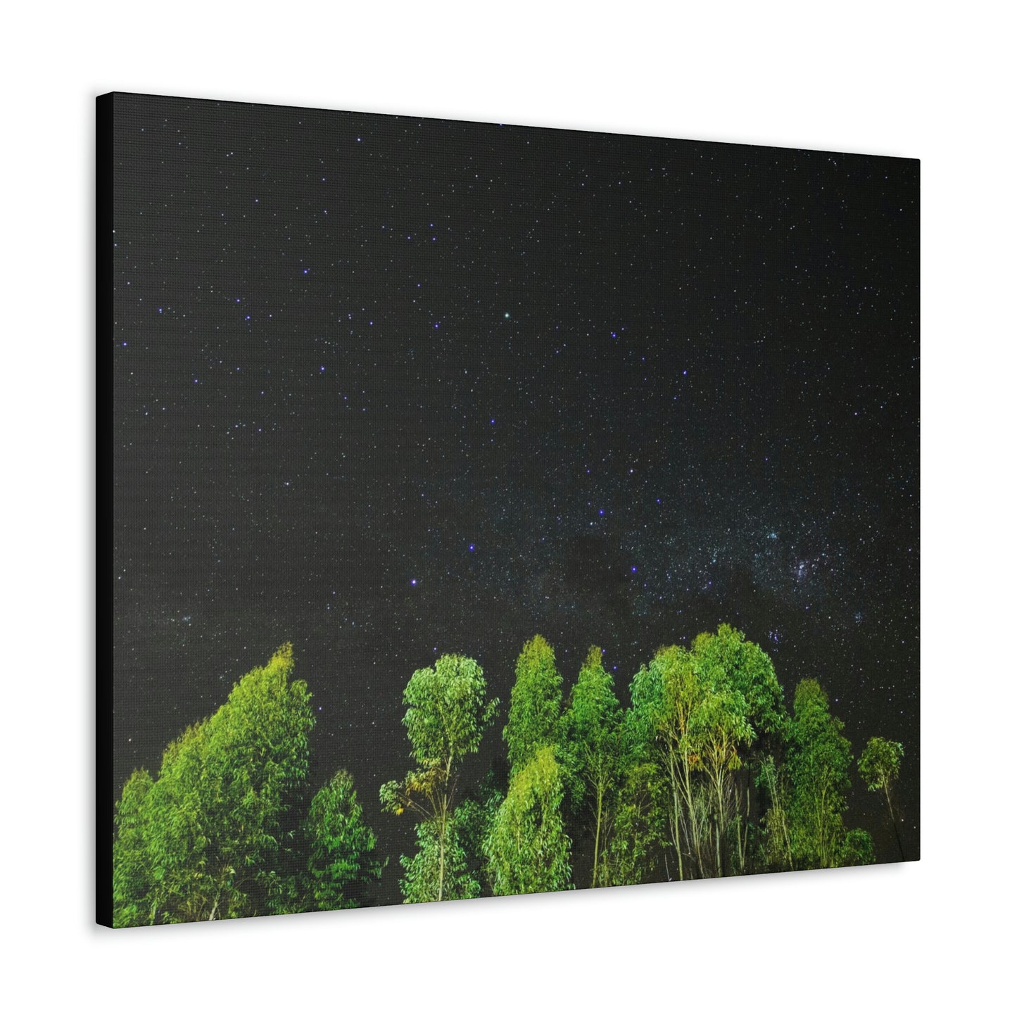 Starry Forest - Star, Forest, Nature - Canvas Gallery Wraps