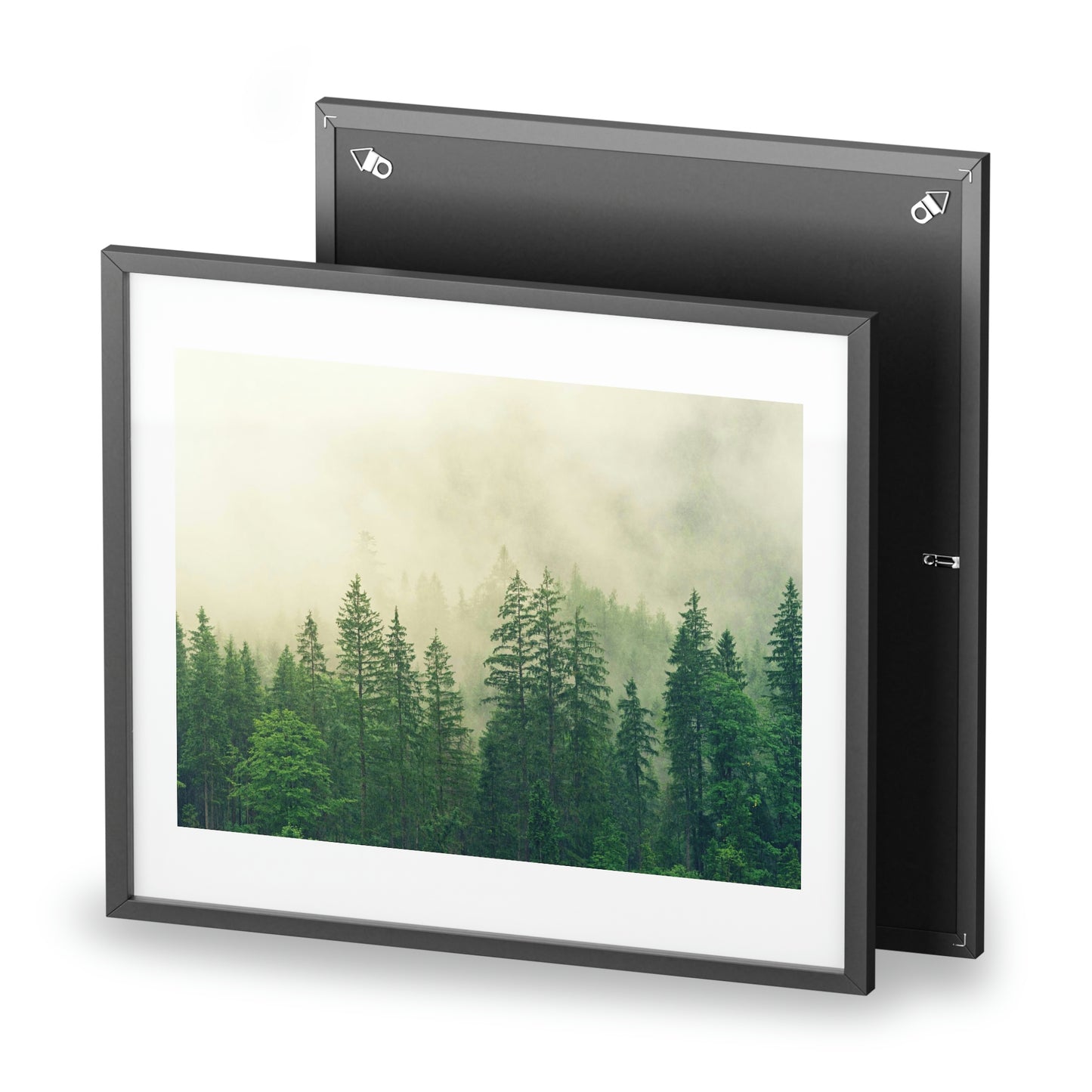 Foggy Forest - Framed Posters, Matte