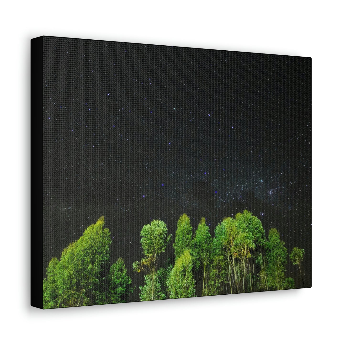 Starry Forest - Star, Forest, Nature - Canvas Gallery Wraps