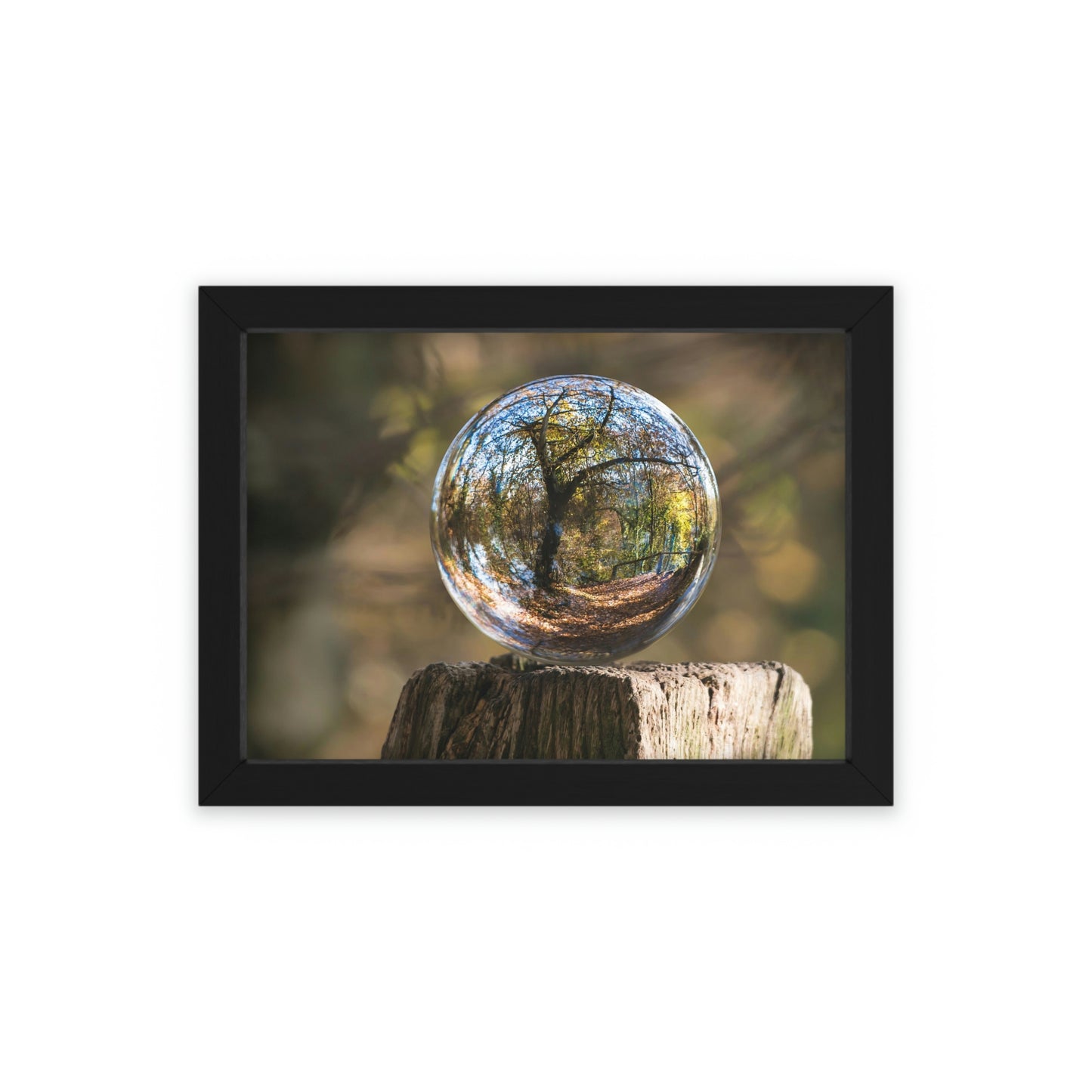 Forest Globe - Framed Poster, Horizontal