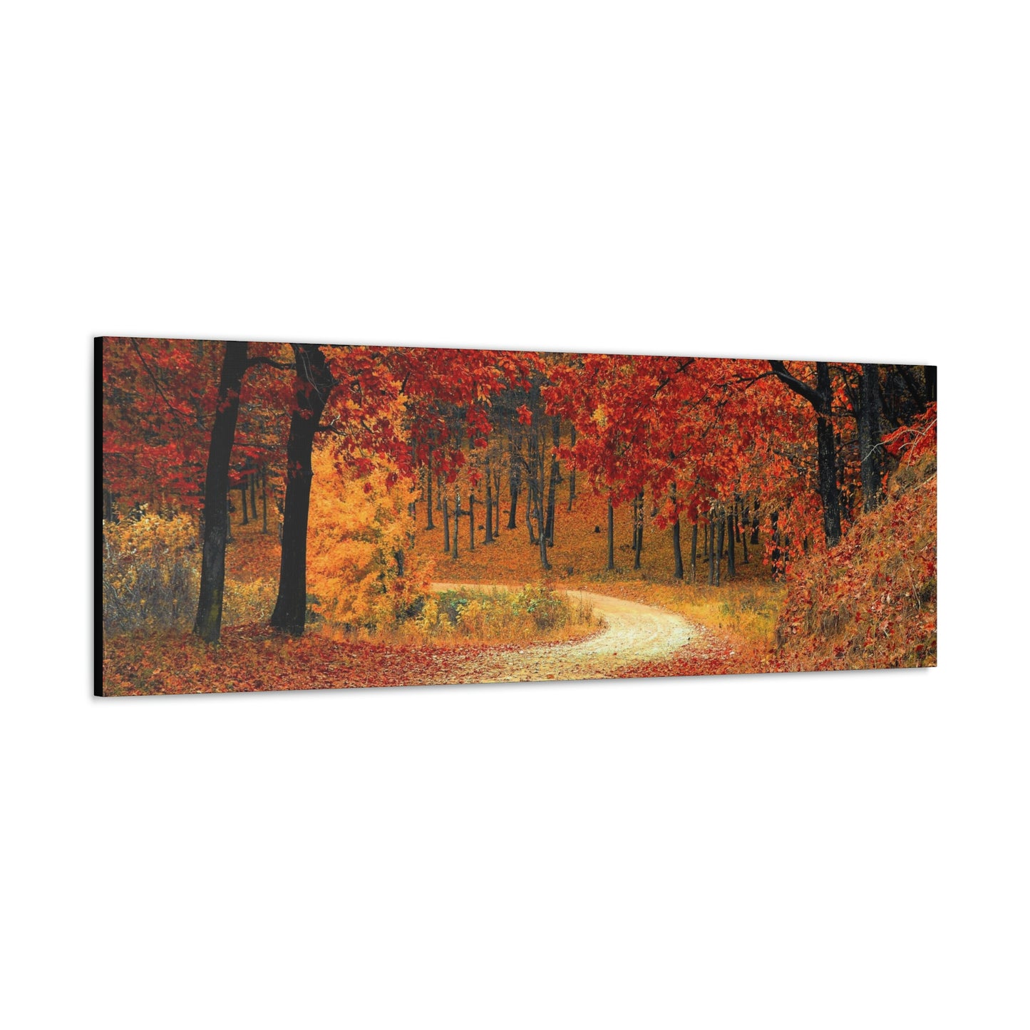 Fall Trail - Foliage forest - Canvas Gallery Wraps