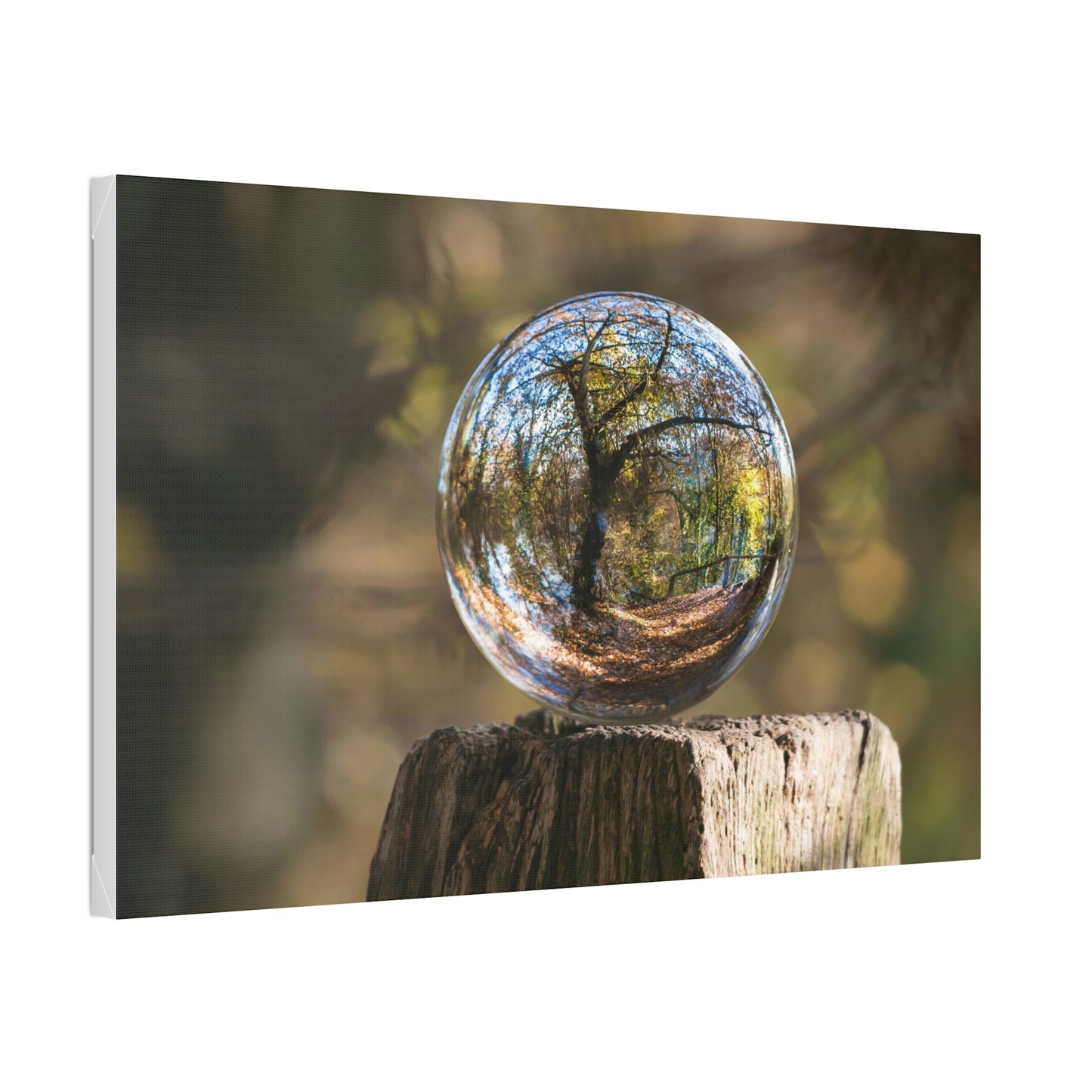 Forest, Globe, Trees, Nature, Forest Globe - Polyester Canvas
