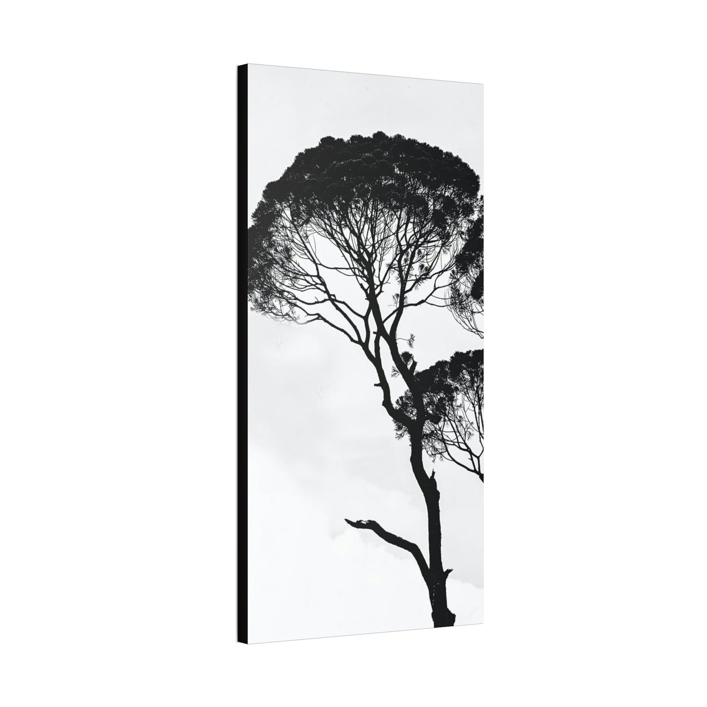 Black and White Trees, Trees, Savannah, Safari - Polyester Canvas