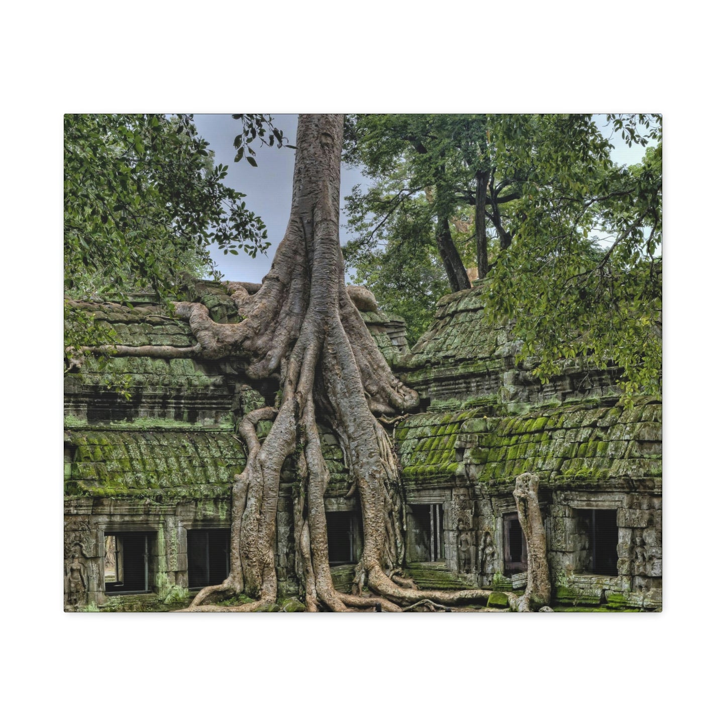 Jungle Temple - nature, trees Canvas Gallery Wraps
