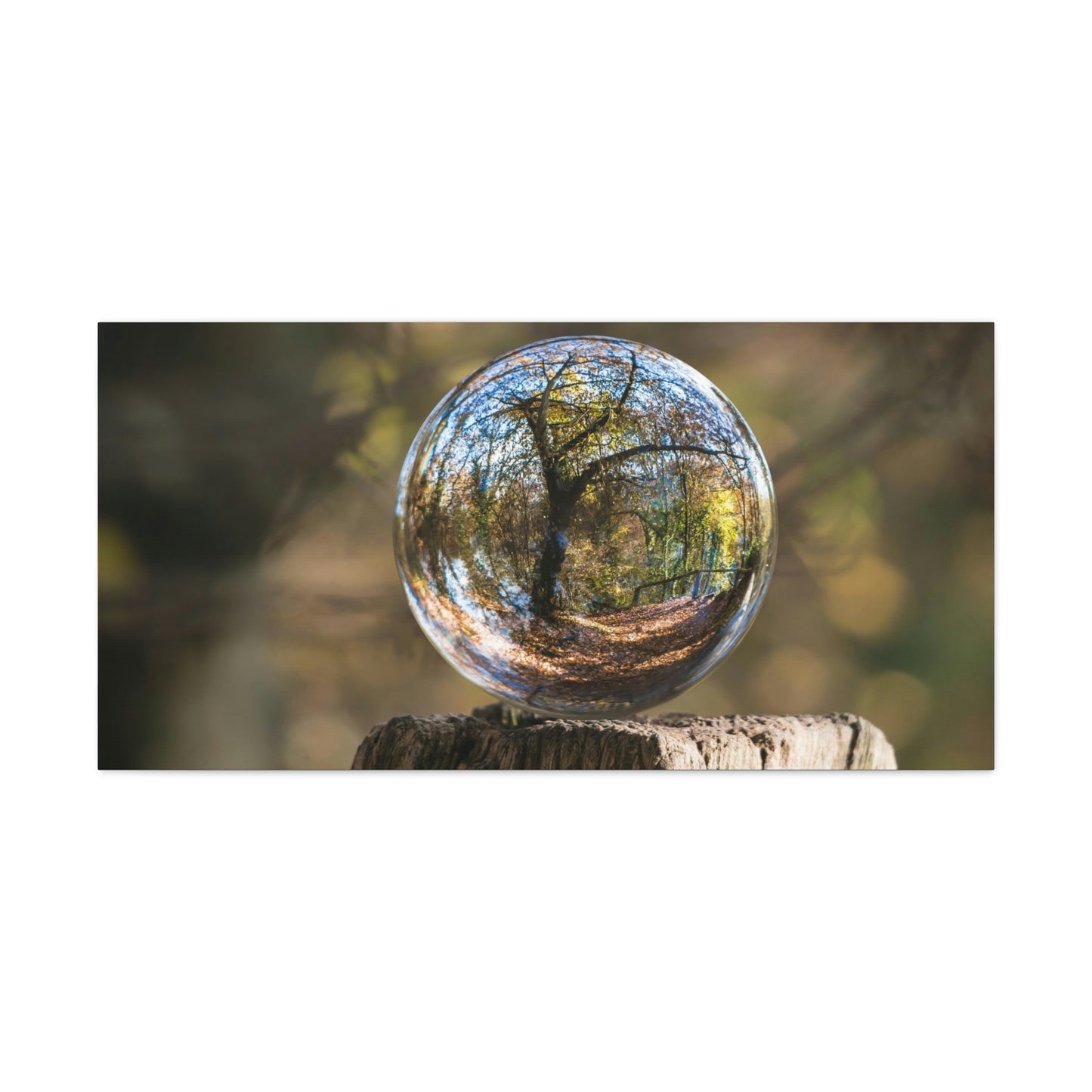 Forest, Globe, Trees, Nature, Forest Globe - Polyester Canvas
