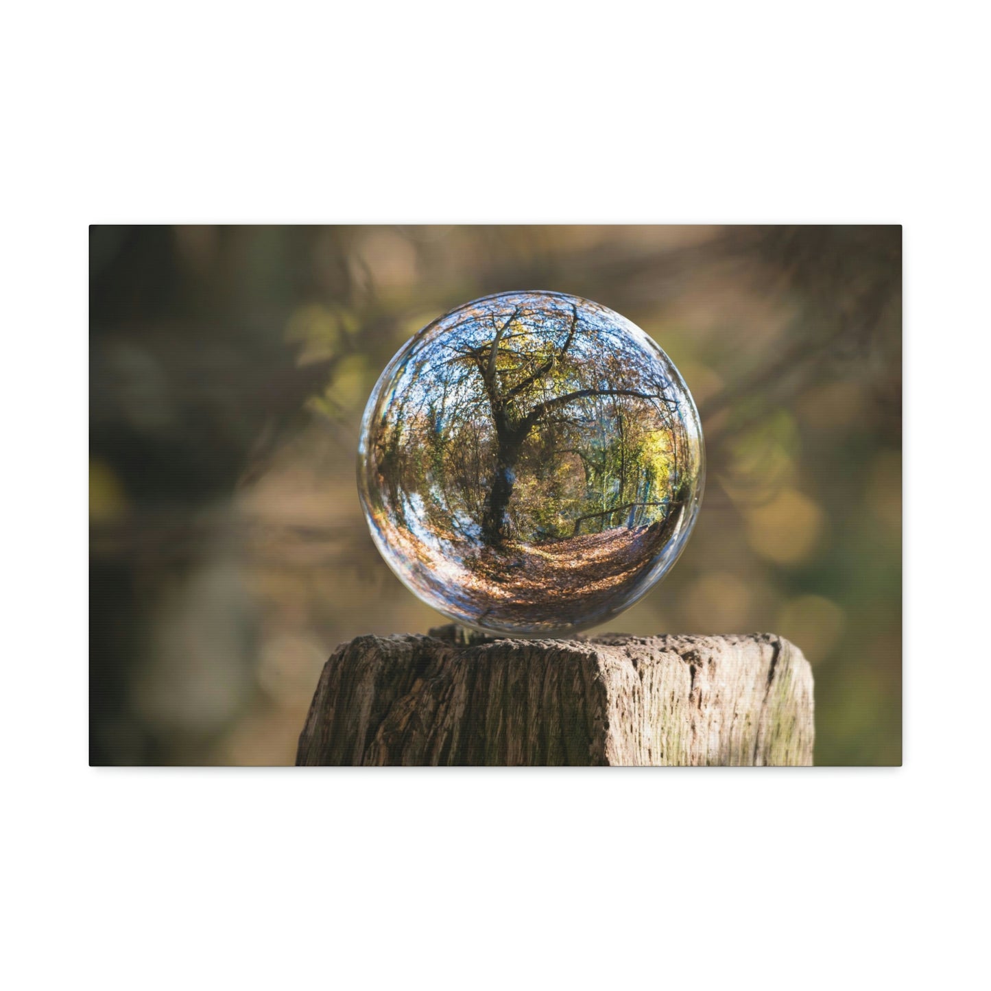 Forest, Globe, Trees, Nature, Forest Globe - Polyester Canvas