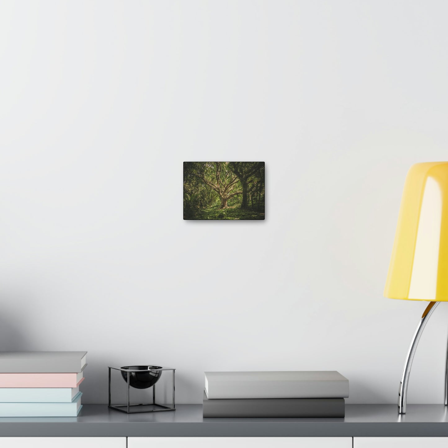 Forest - Tree Canvas Gallery Wraps
