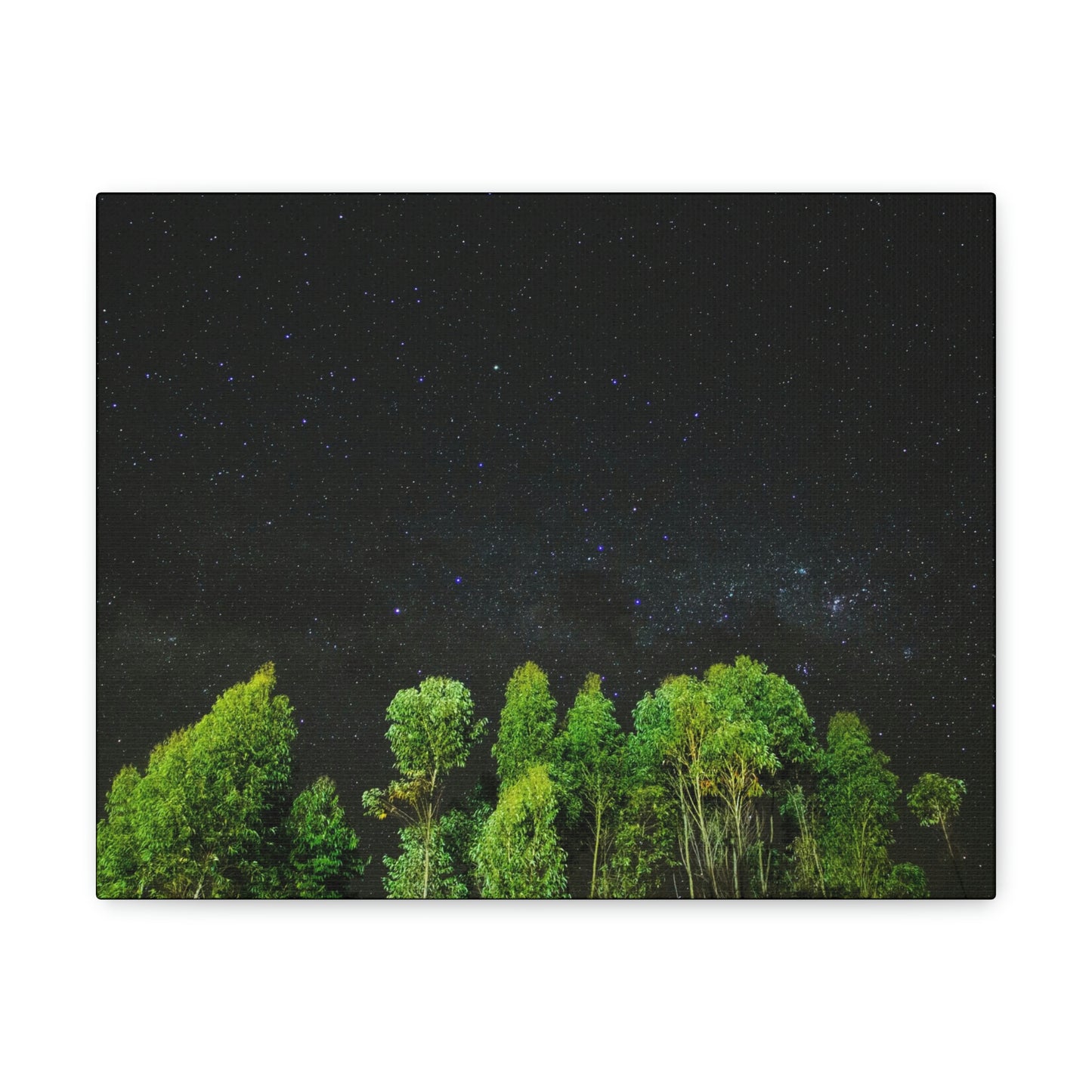 Starry Forest - Star, Forest, Nature - Canvas Gallery Wraps