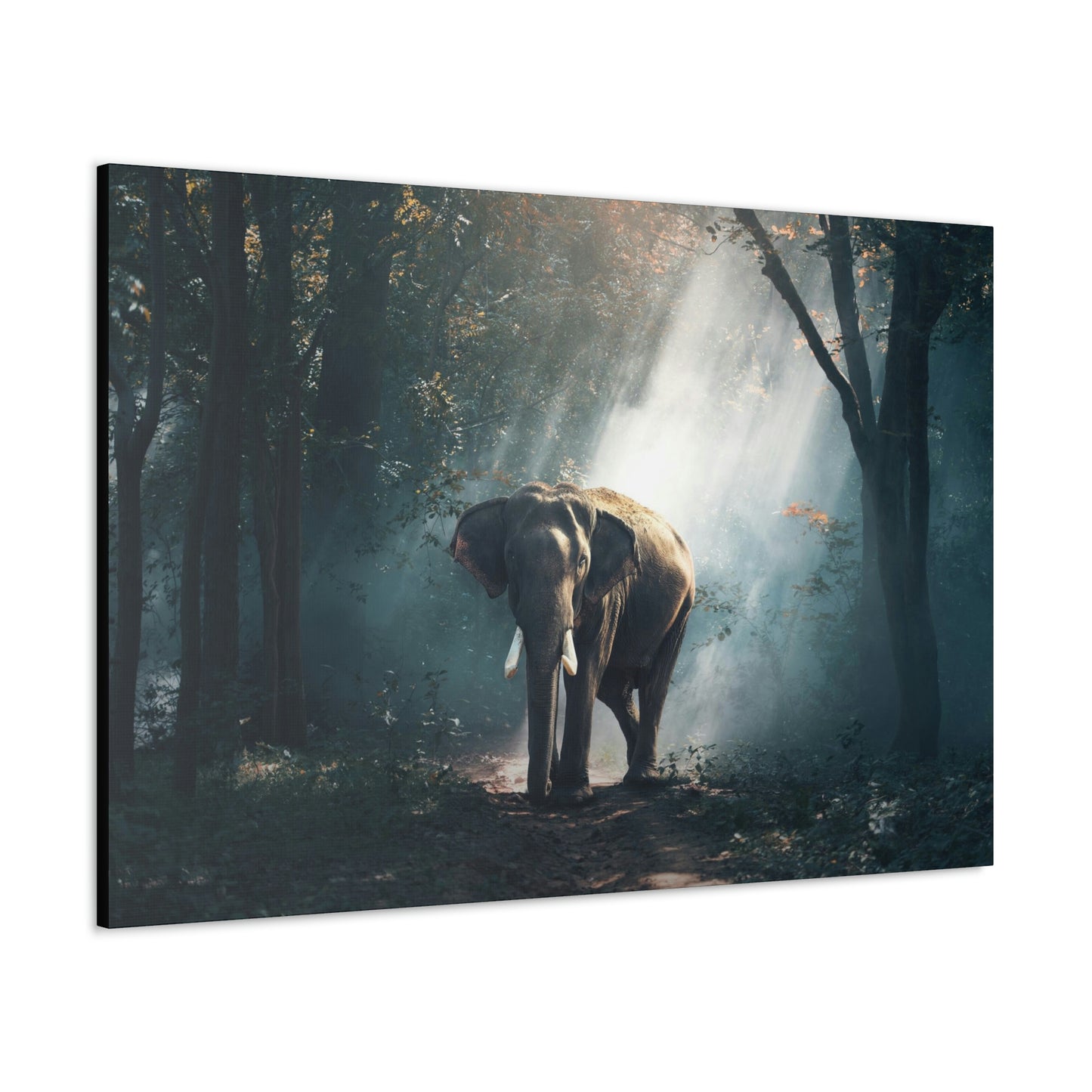 Elephant - Nature, Jungle Canvas Gallery Wraps