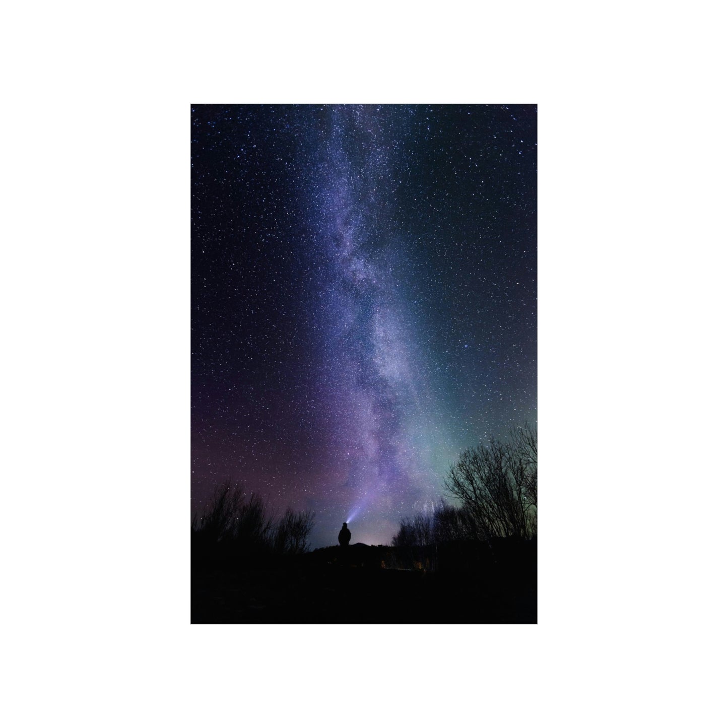 Stars Gazer - Premium Matte Vertical Posters