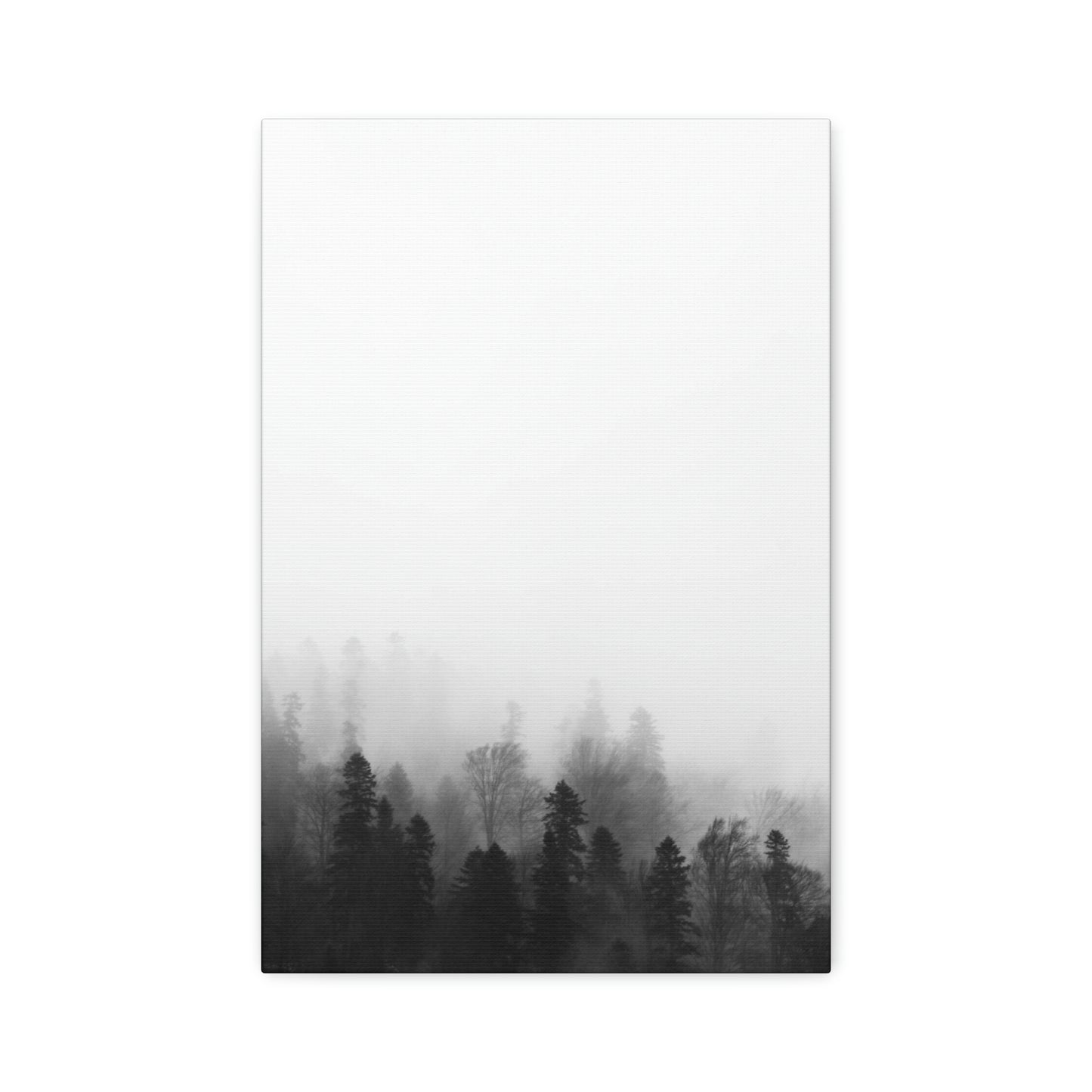 Forest, Black & White, Tree line, Nature, Fog, B and W Tree line Polyester Canvas