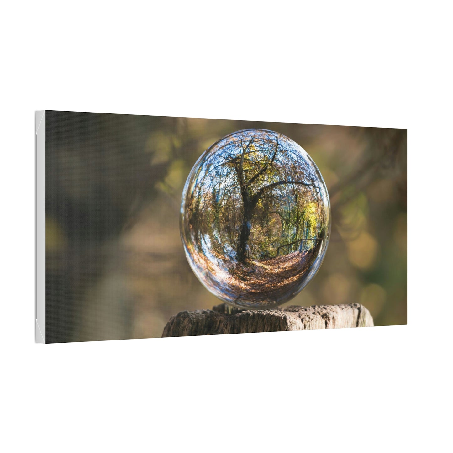 Forest, Globe, Trees, Nature, Forest Globe - Polyester Canvas