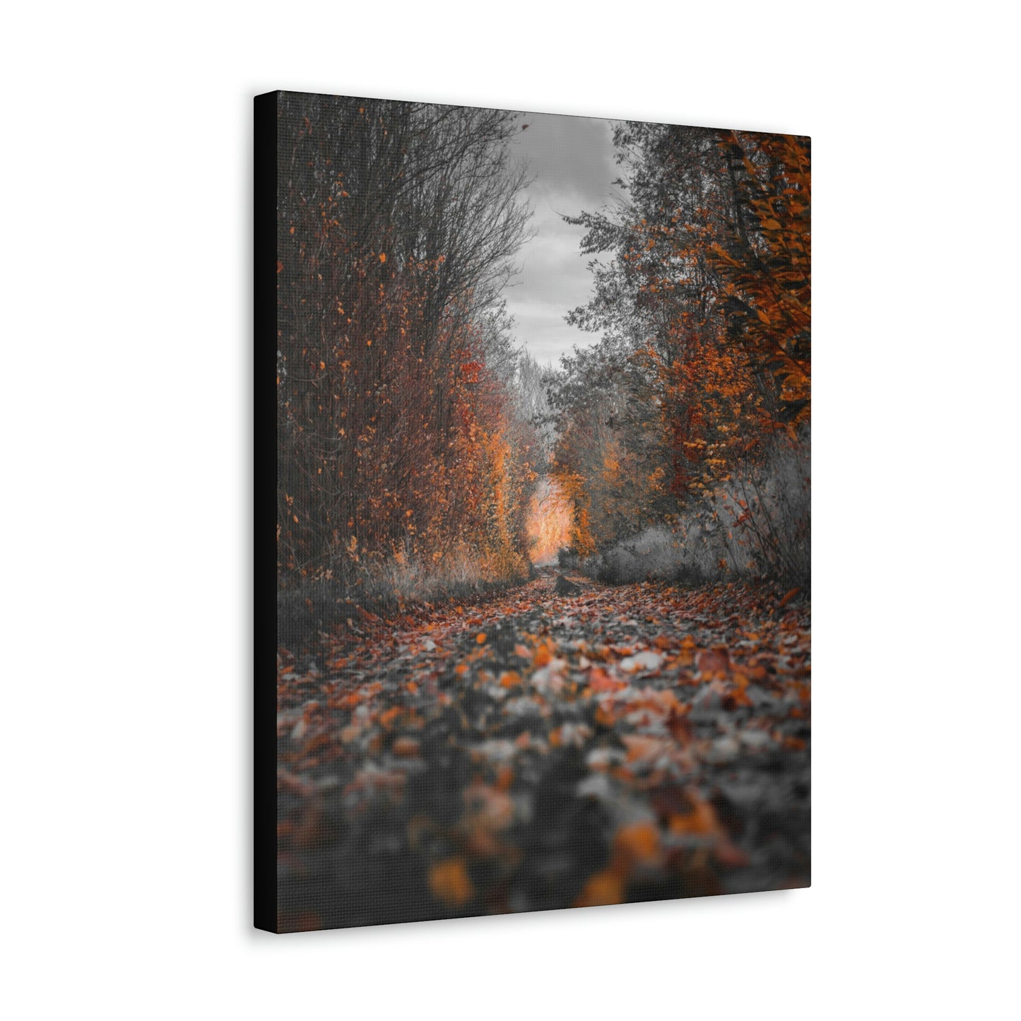 Fall road - Foliage, Nature, Forest, Leaves - Canvas Gallery Wraps