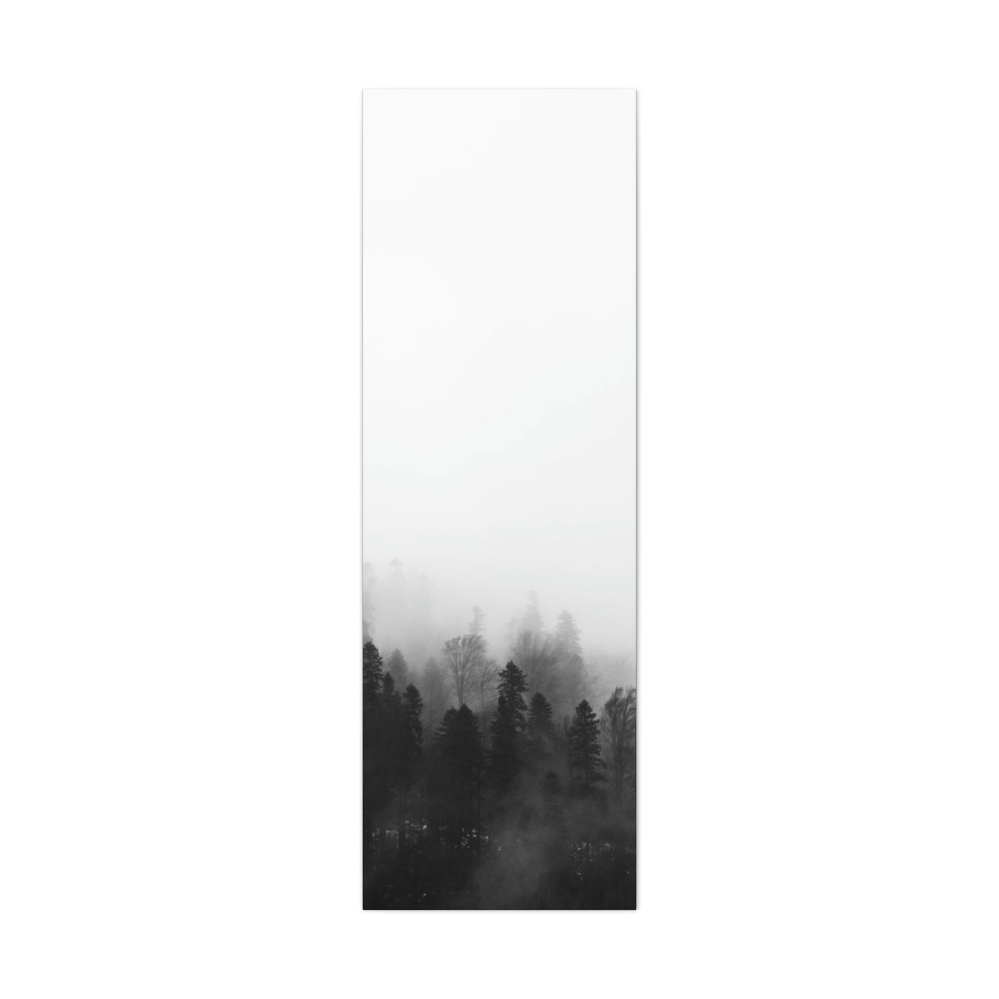 B&W Forest - Canvas Gallery Wraps